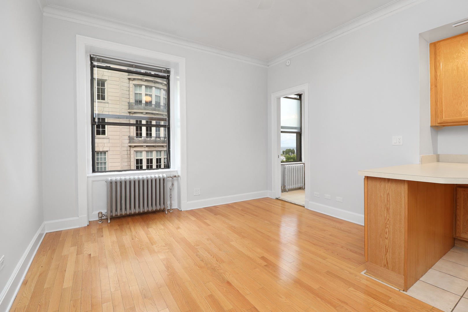 3330 N Lake Shore Drive Unit: 4F