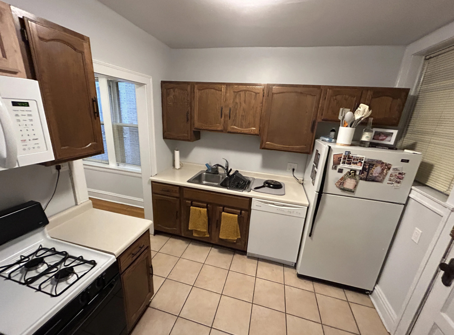 1702 W Cornelia Avenue Unit: 1