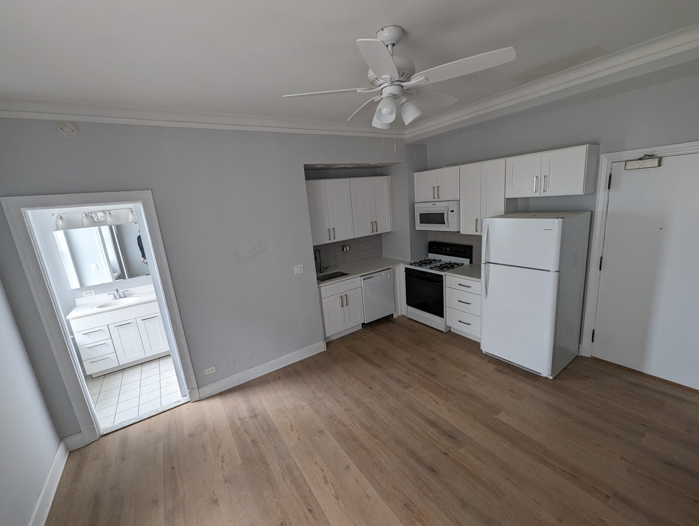3330 N Lake Shore Drive Unit: 5F