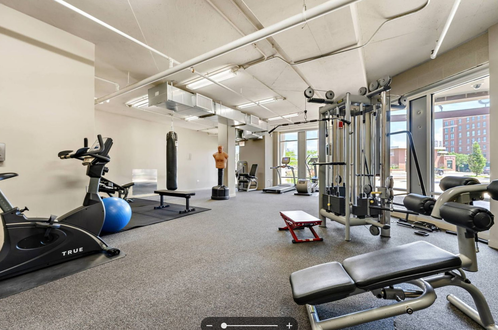 437 W Division Street Unit: 304