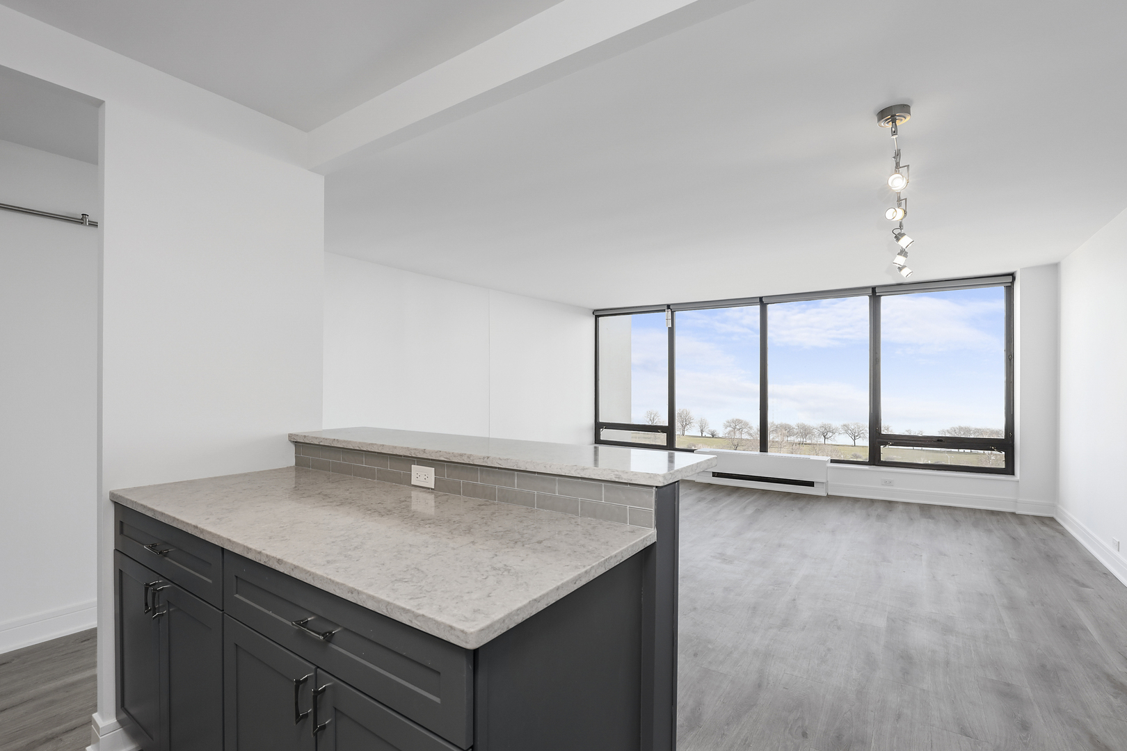 5445 N Sheridan Road Unit: 1408