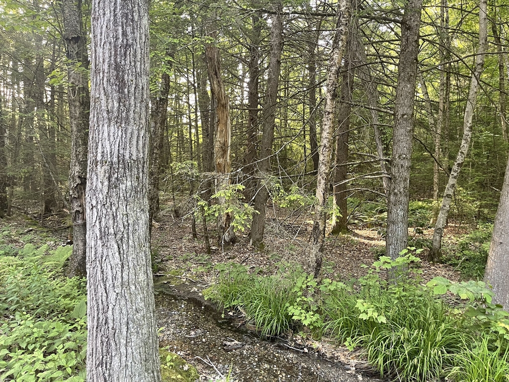 Lot 9 & 10 Schoolhouse Rd