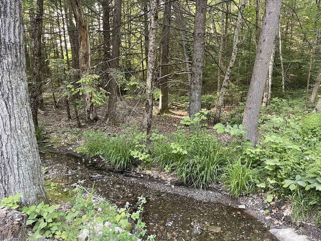 Lot 9 & 10 Schoolhouse Rd