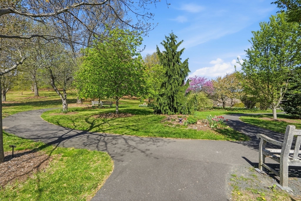 24 Mcintosh Dr # 24