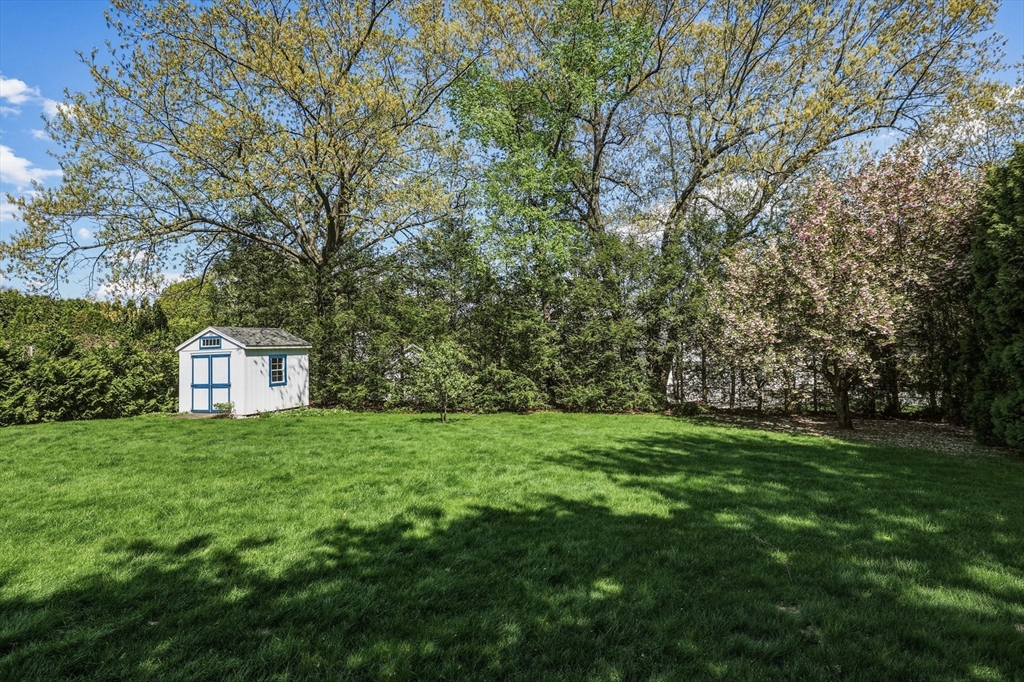 35 Chestnut Hill