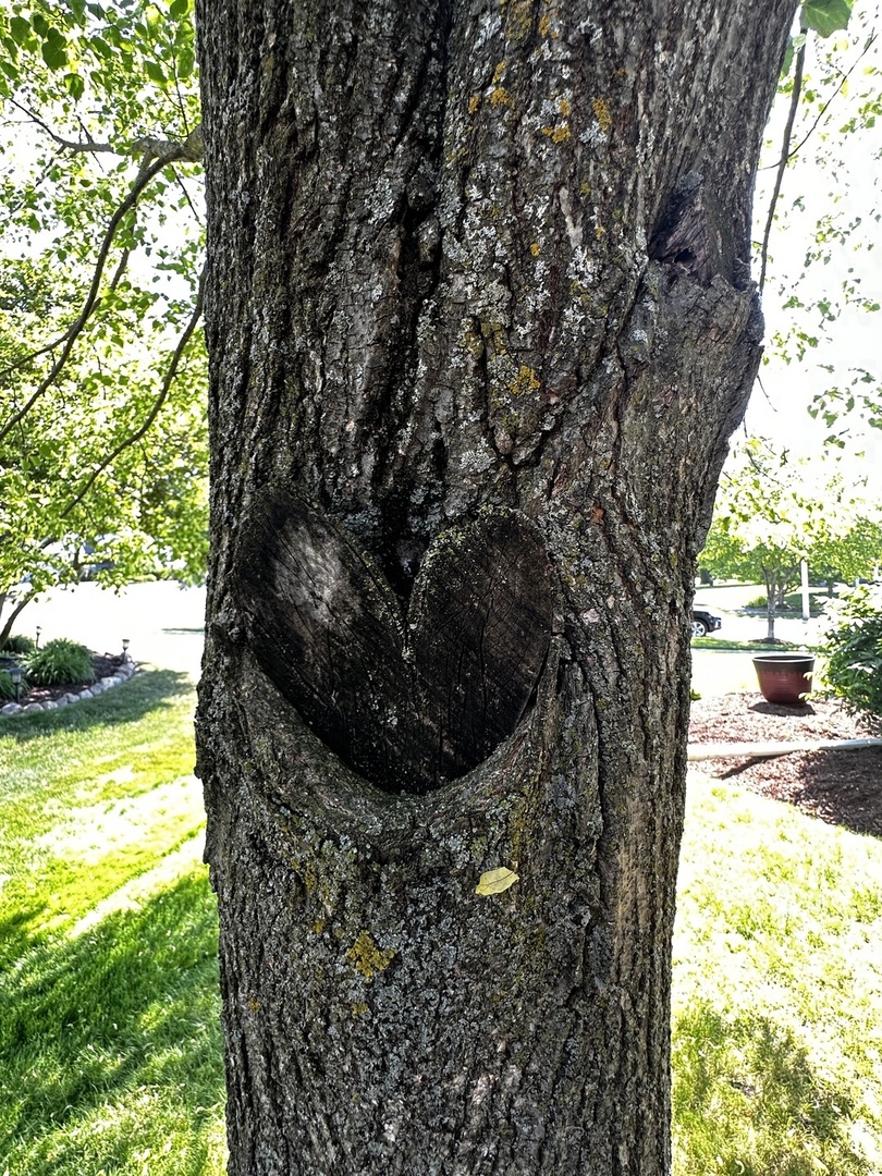 1112 Bennington Drive