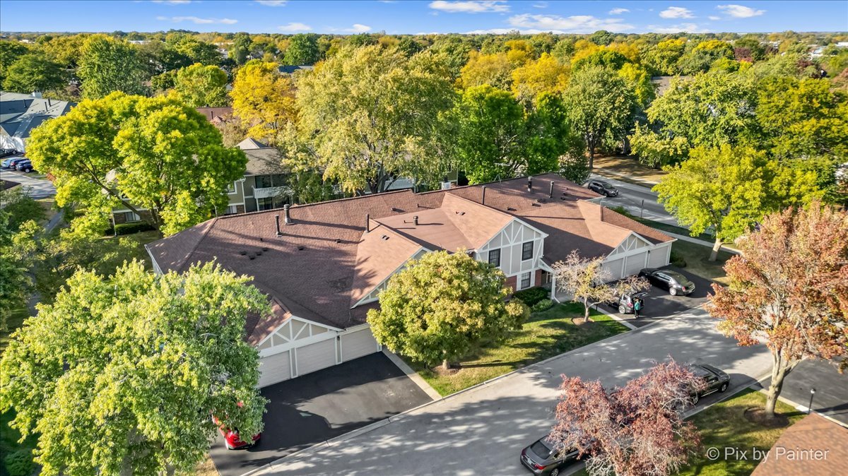 586 Williamsburg Court Unit: A1