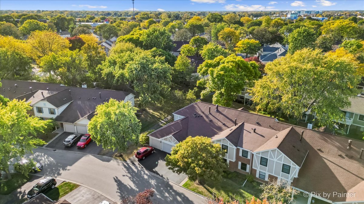 586 Williamsburg Court Unit: A1