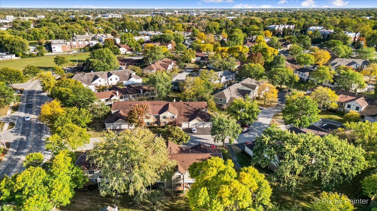 586 Williamsburg Court Unit: A1