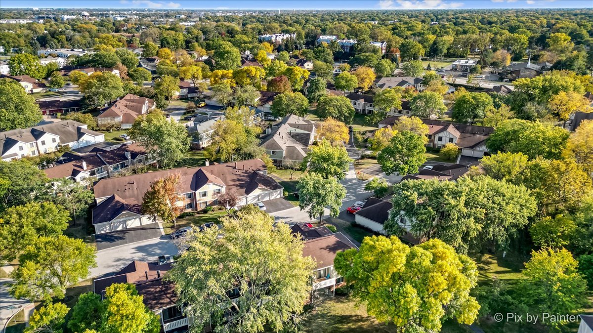 586 Williamsburg Court Unit: A1