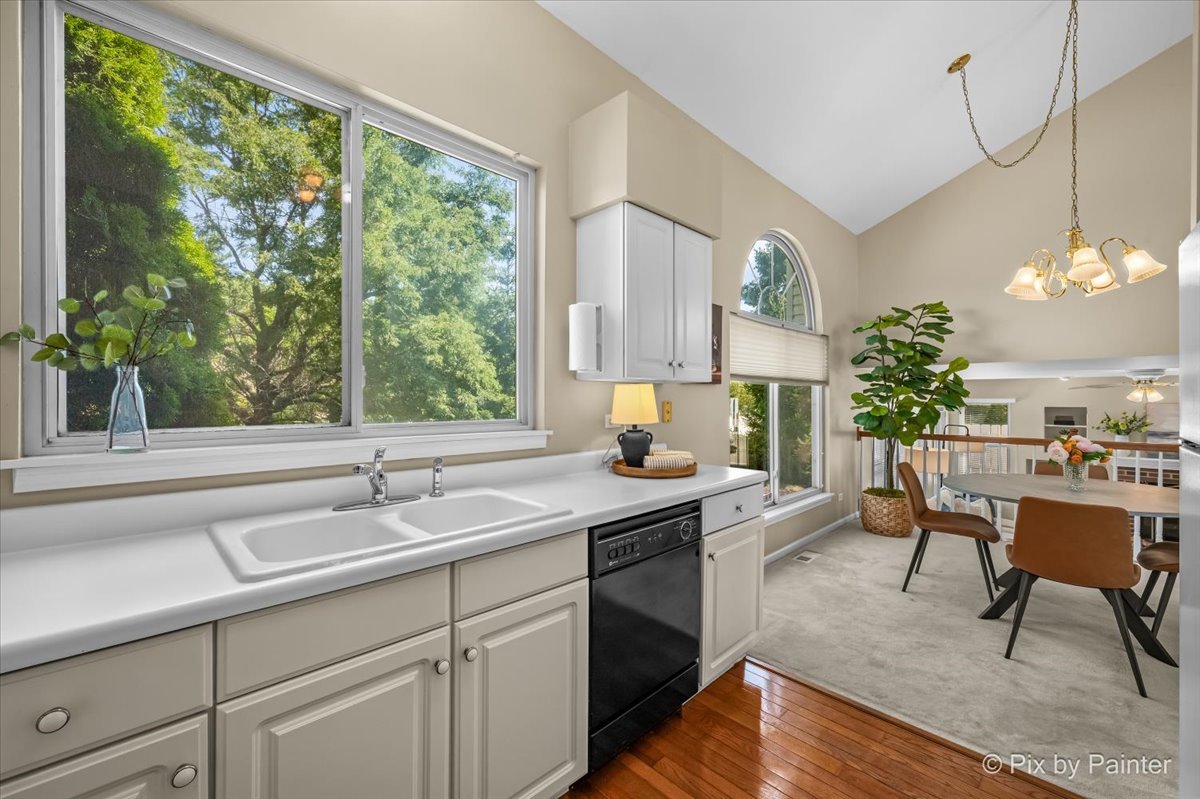 3995 Springlake Court
