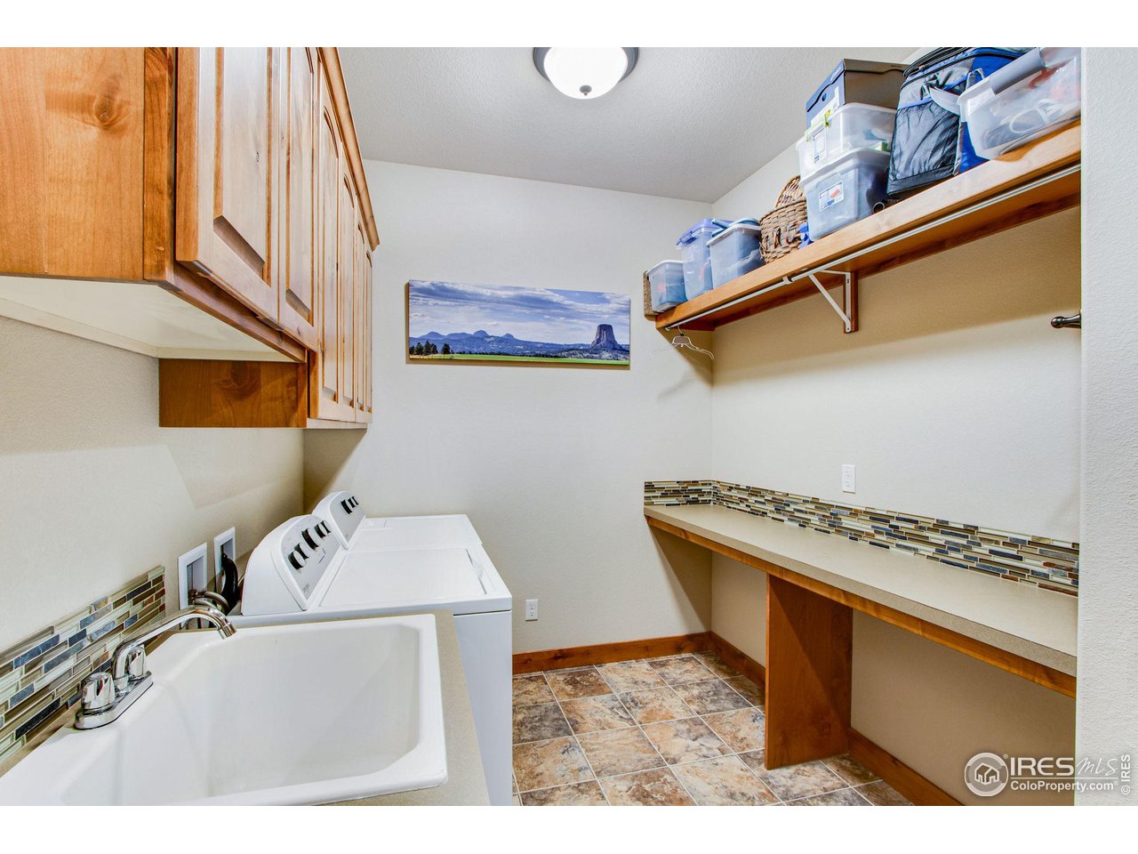 3577 Peruvian Torch Dr