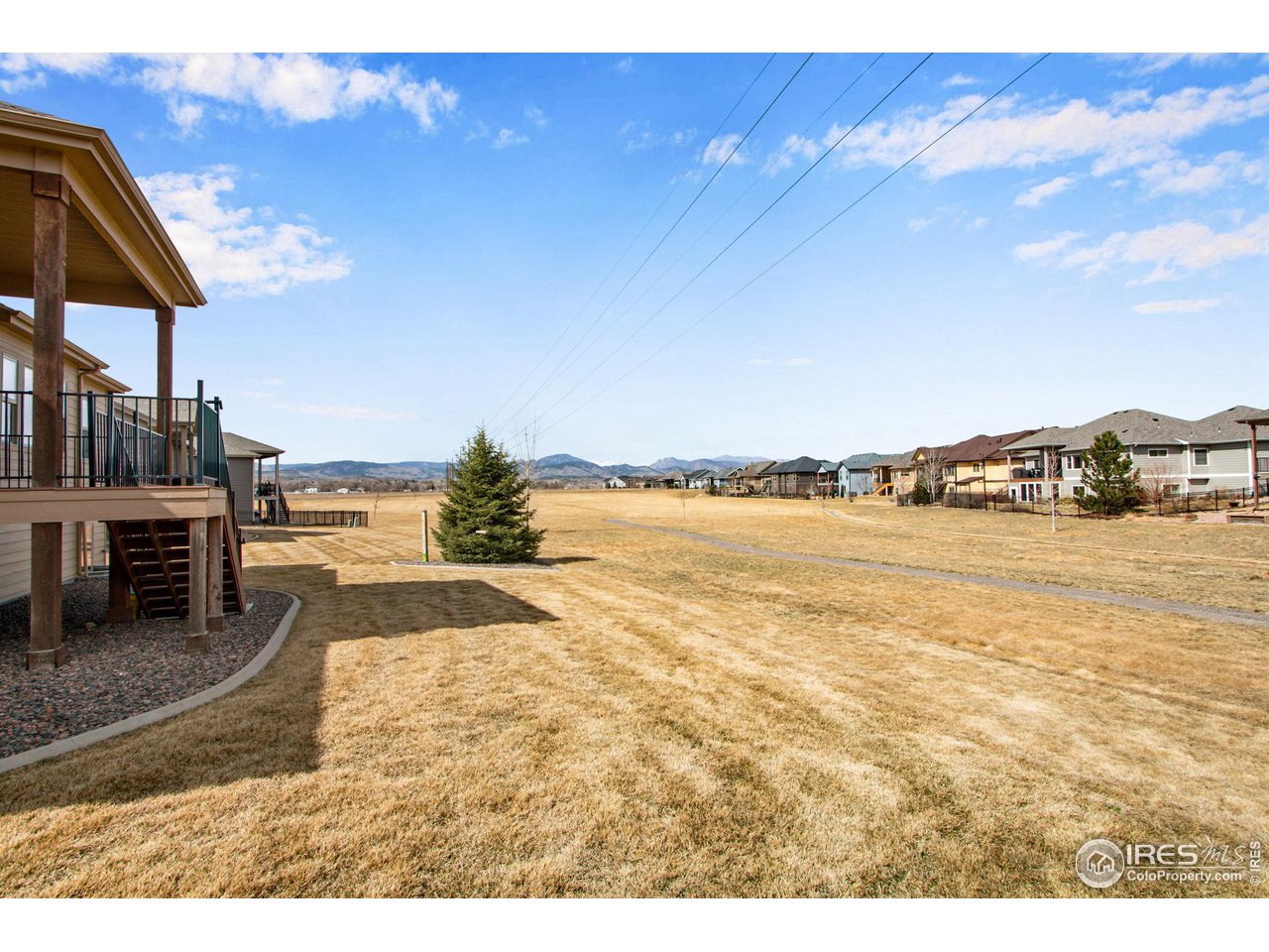 3577 Peruvian Torch Dr