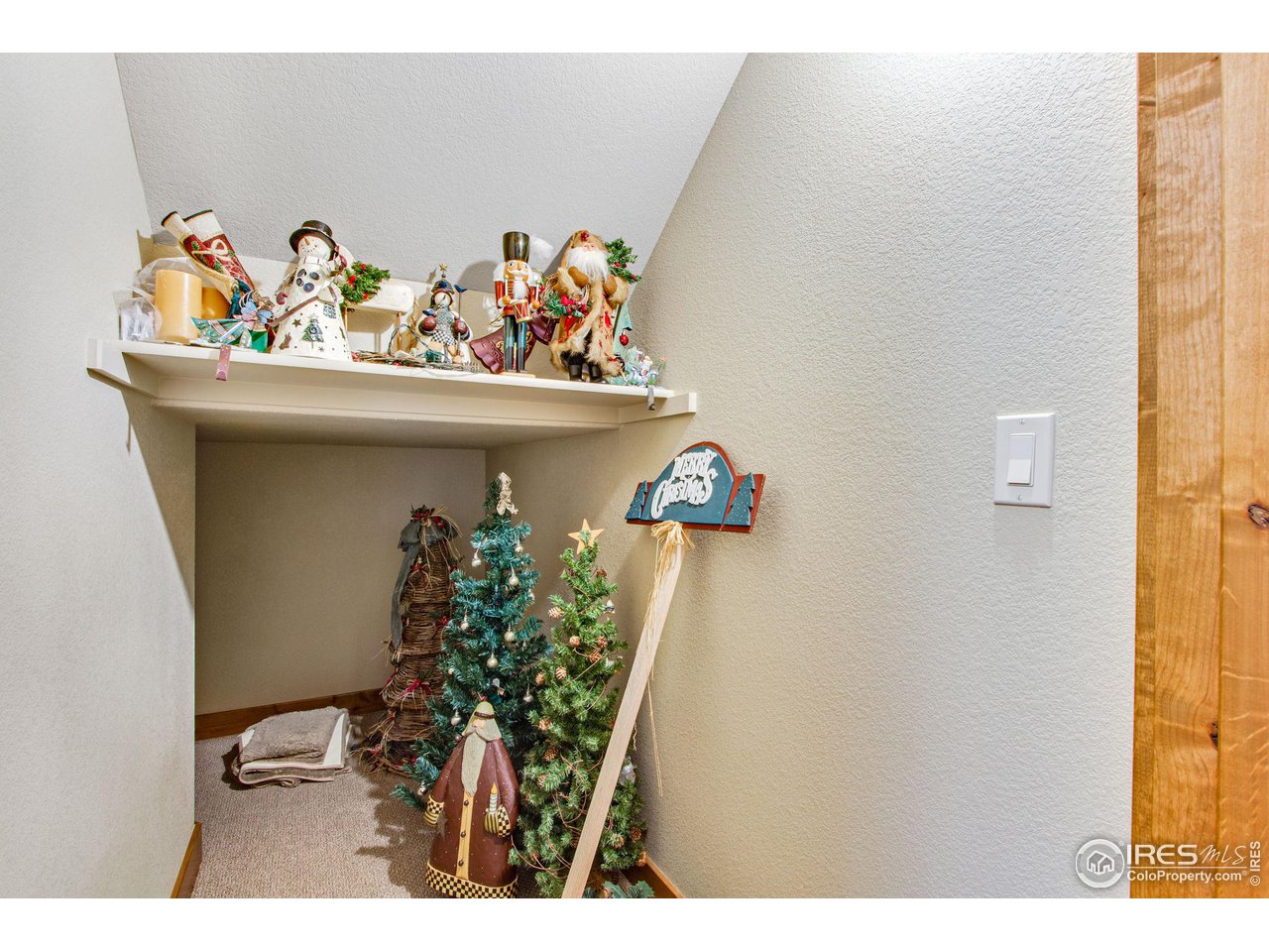 3577 Peruvian Torch Dr