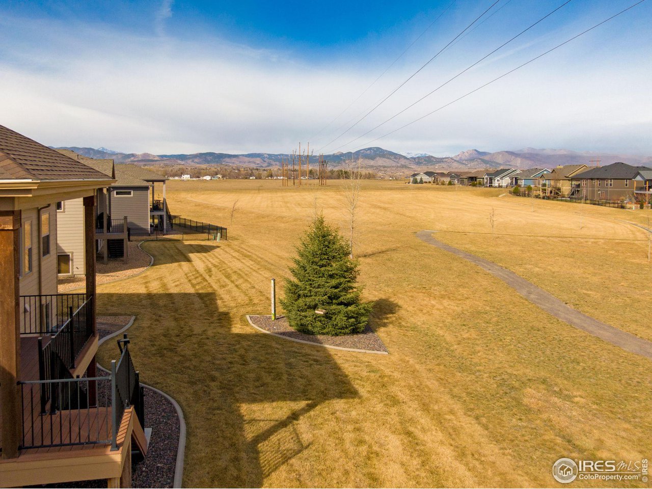 3577 Peruvian Torch Dr