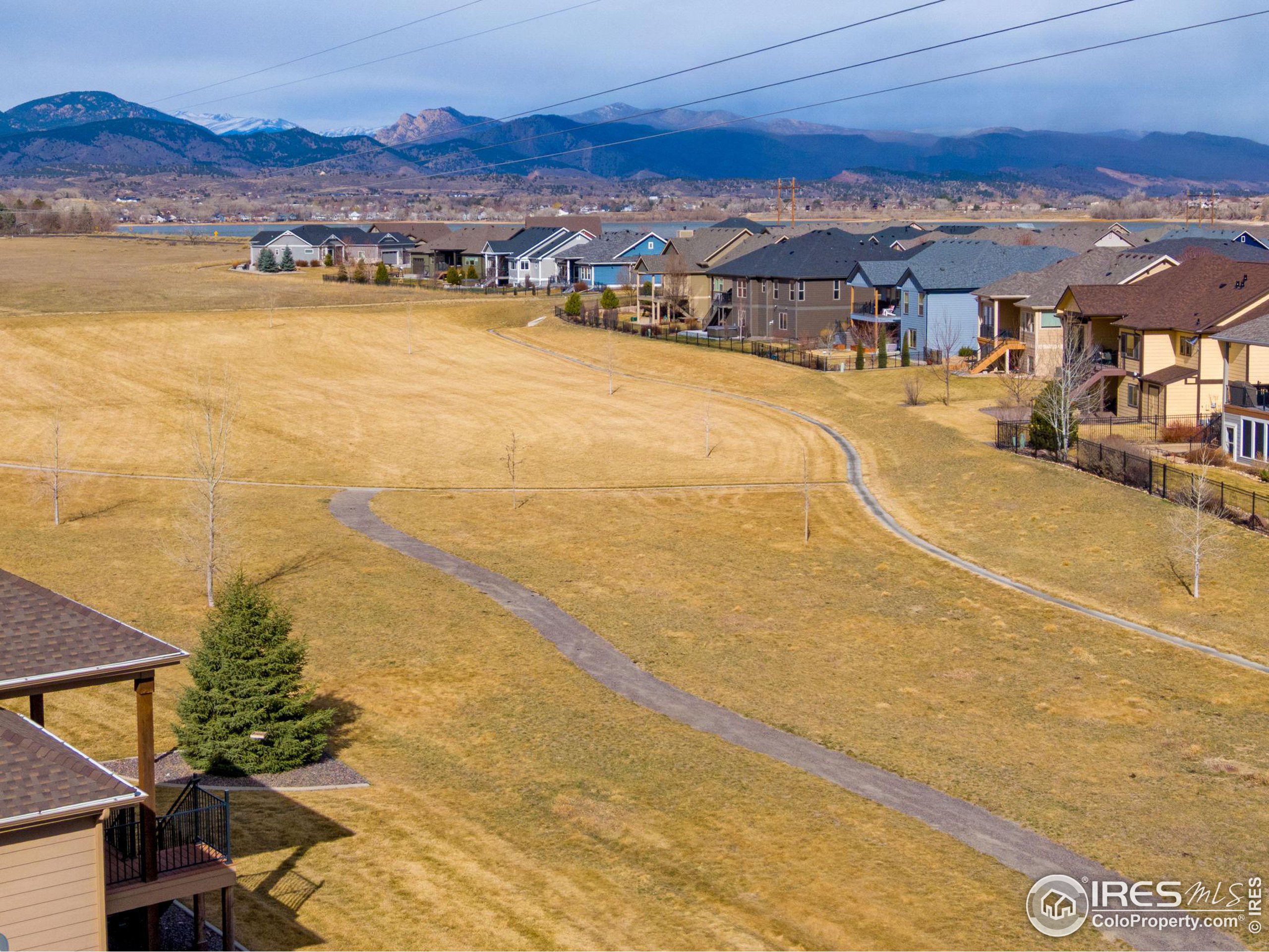 3577 Peruvian Torch Dr