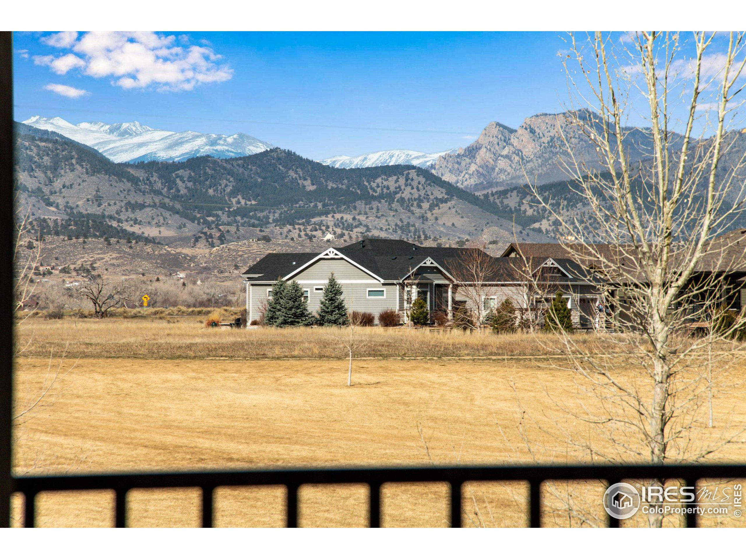 3577 Peruvian Torch Dr