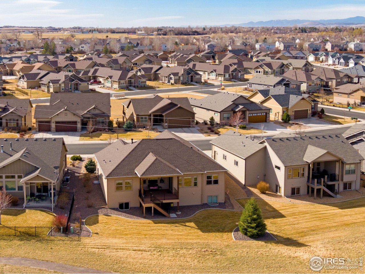 3577 Peruvian Torch Dr