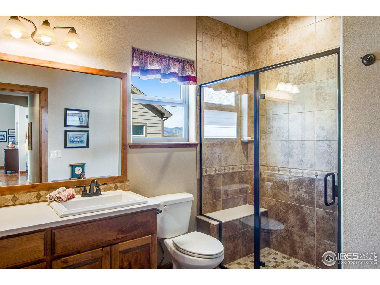 3577 Peruvian Torch Dr