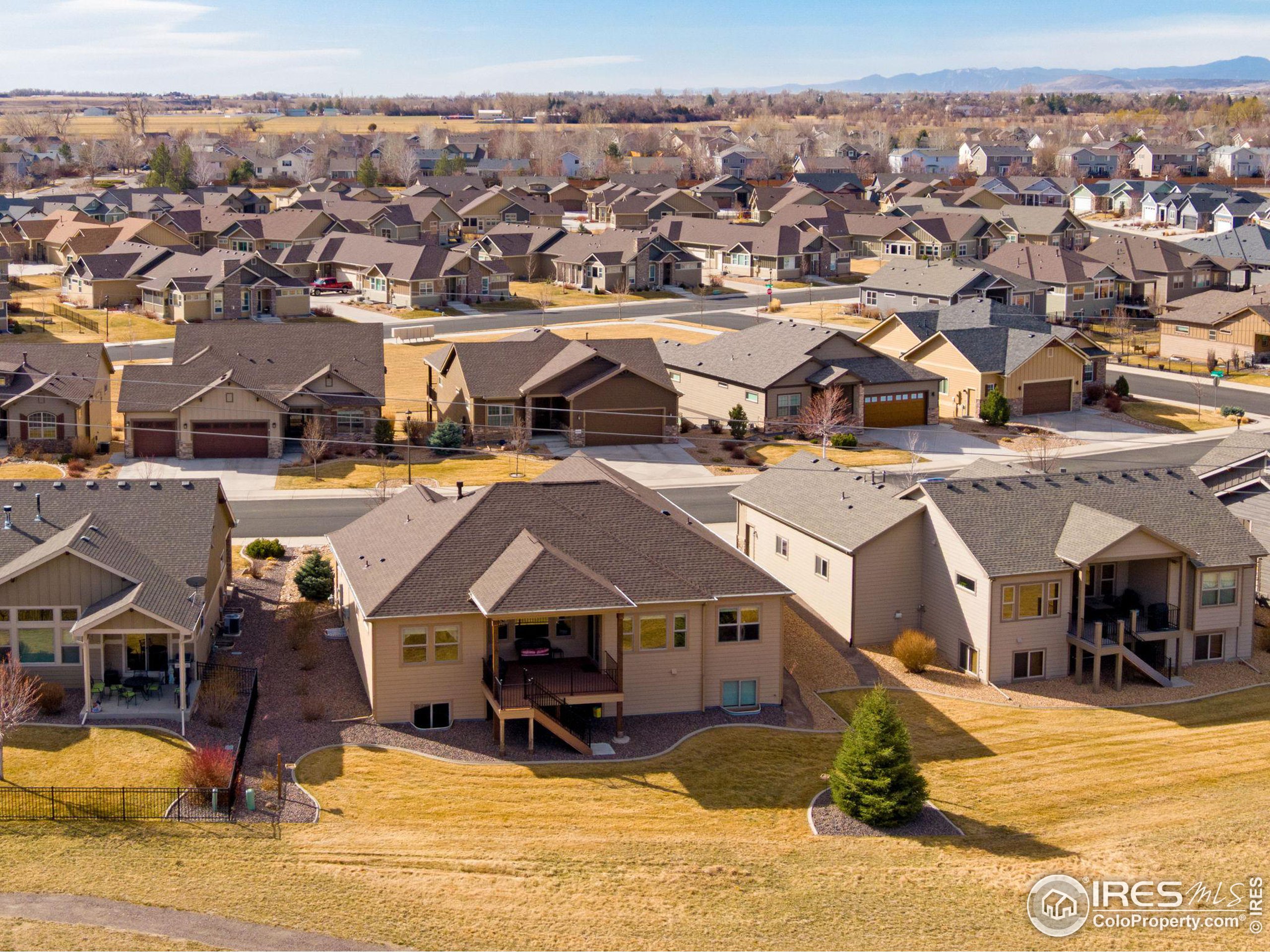 3577 Peruvian Torch Dr