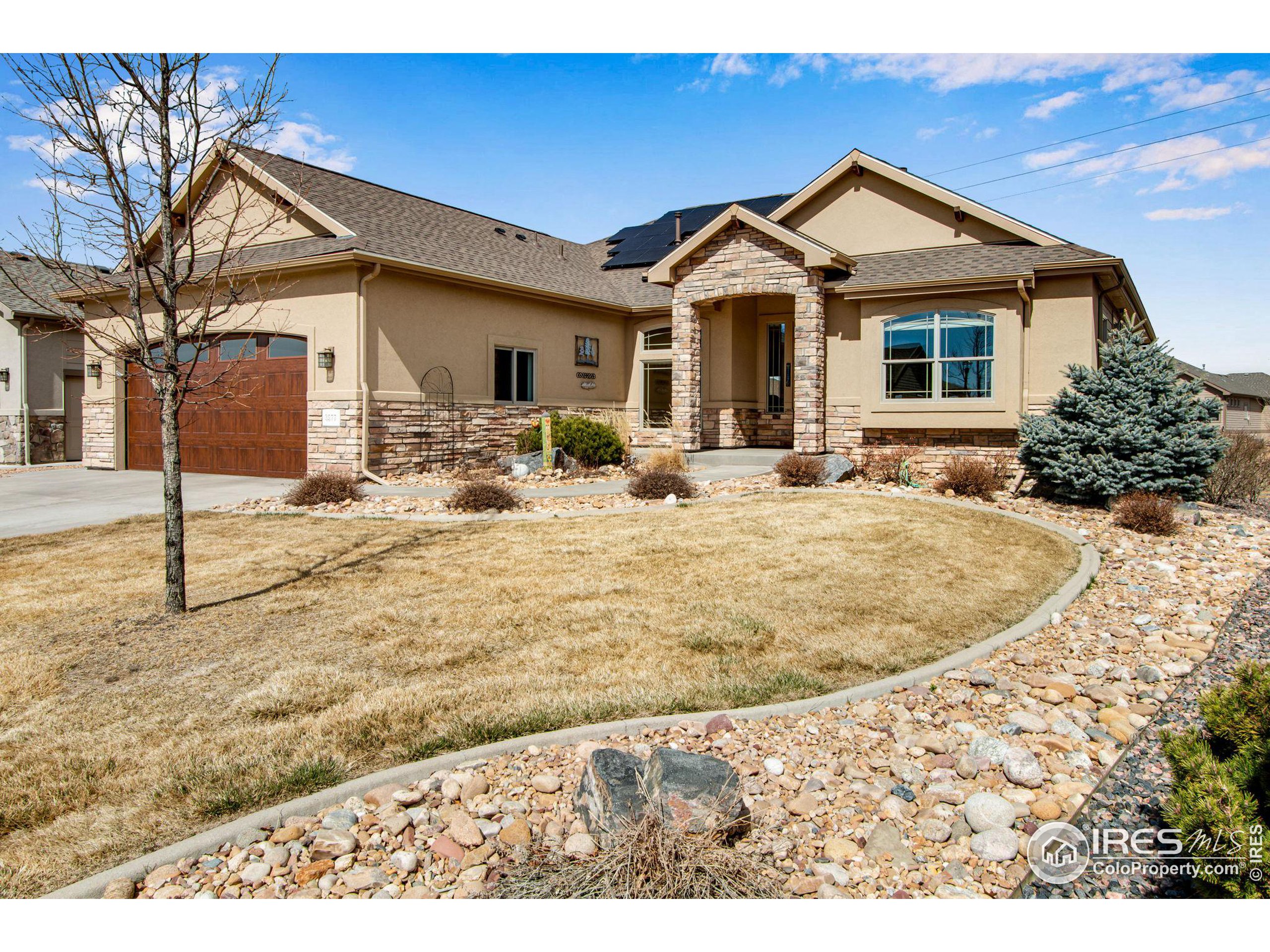 3577 Peruvian Torch Dr