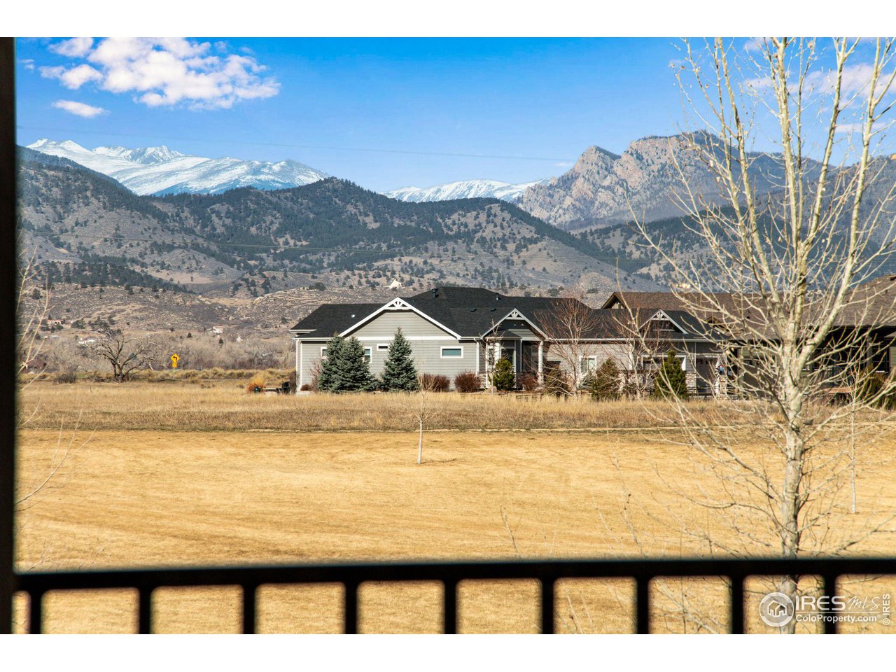 3577 Peruvian Torch Dr