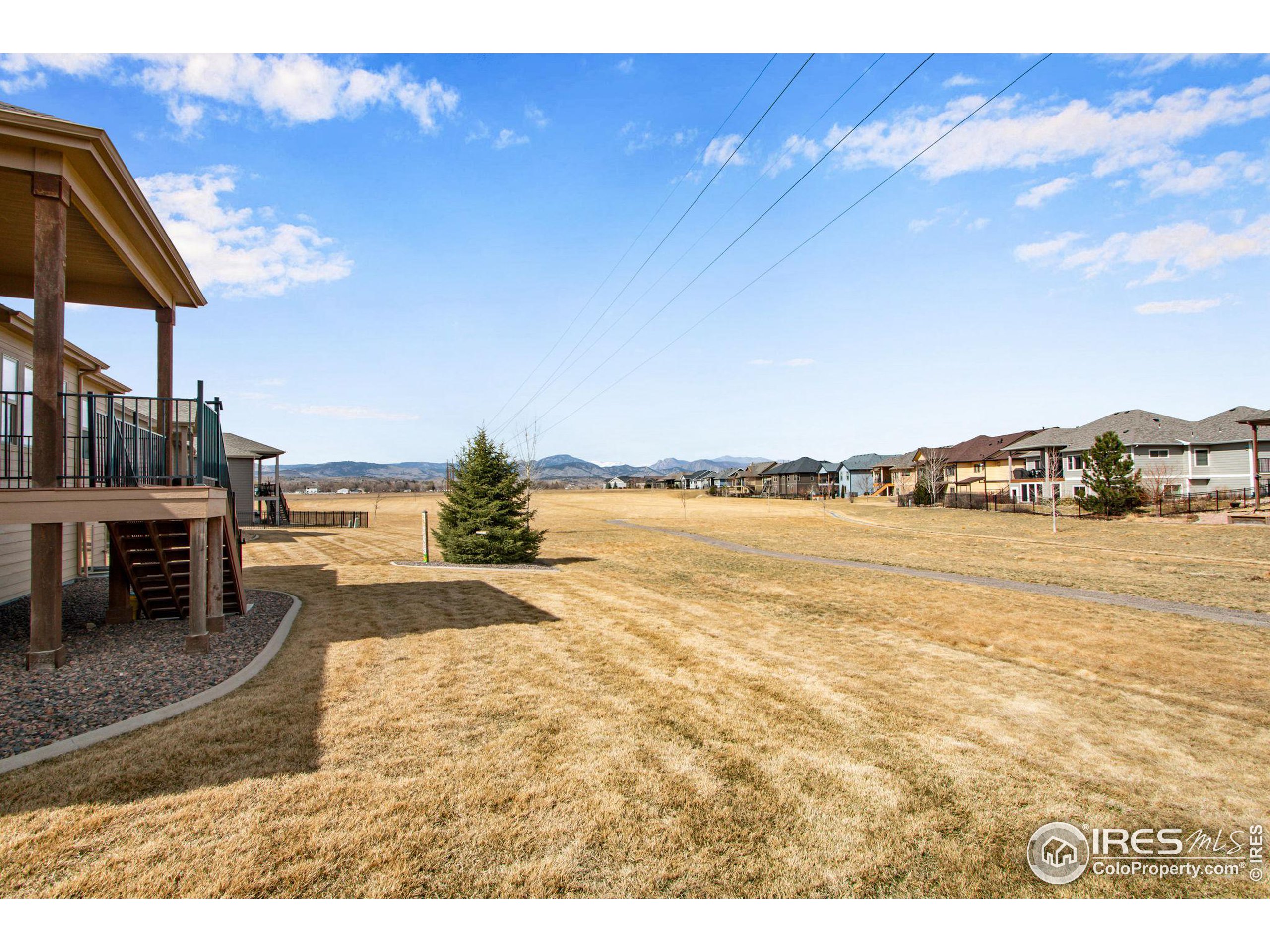 3577 Peruvian Torch Dr