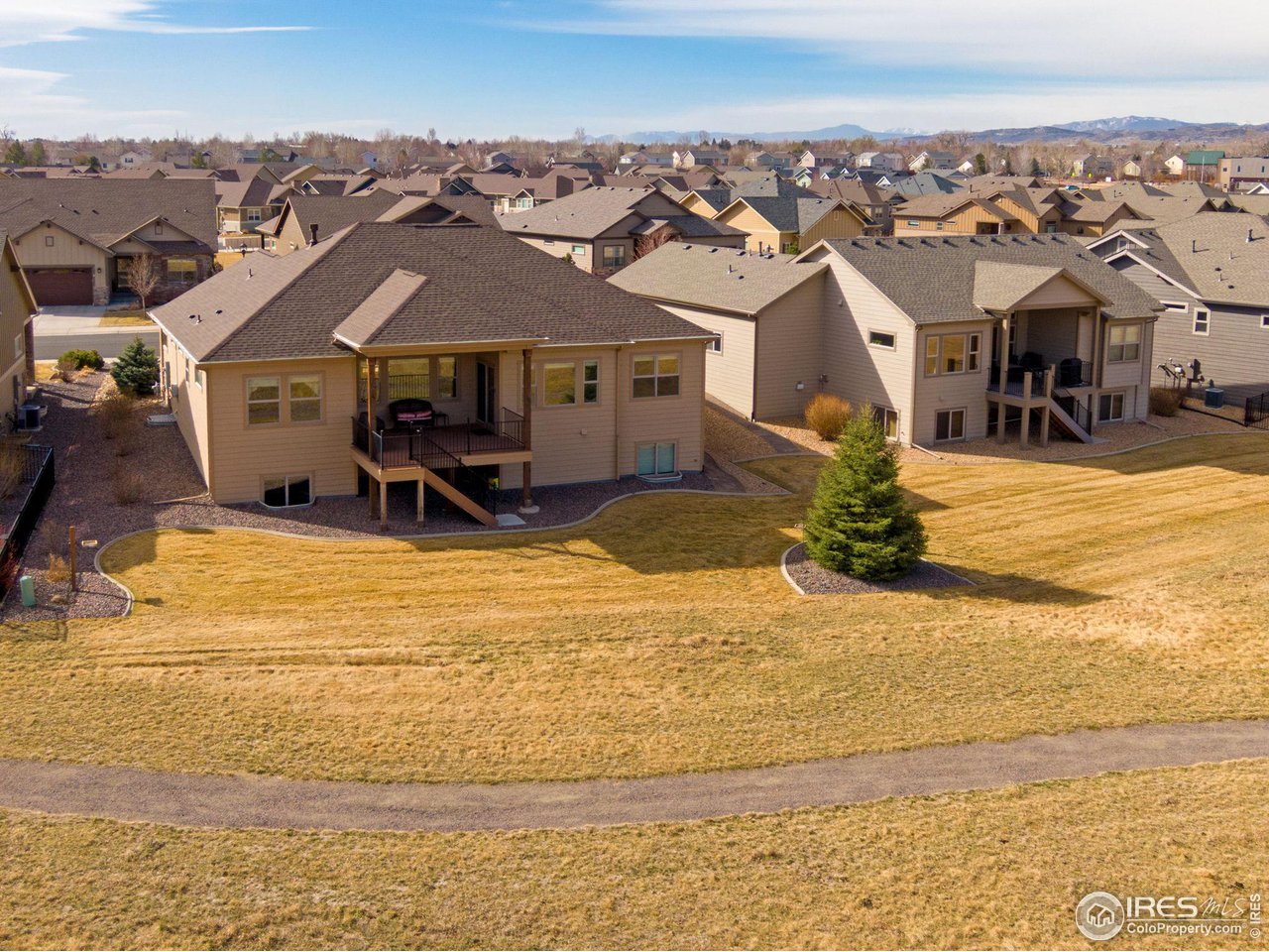 3577 Peruvian Torch Dr