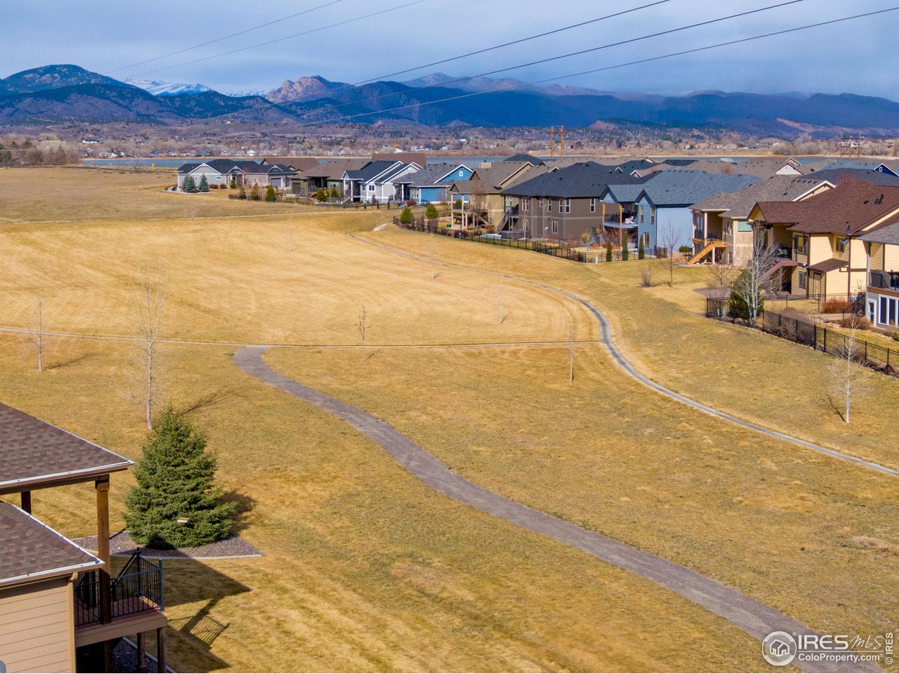 3577 Peruvian Torch Dr