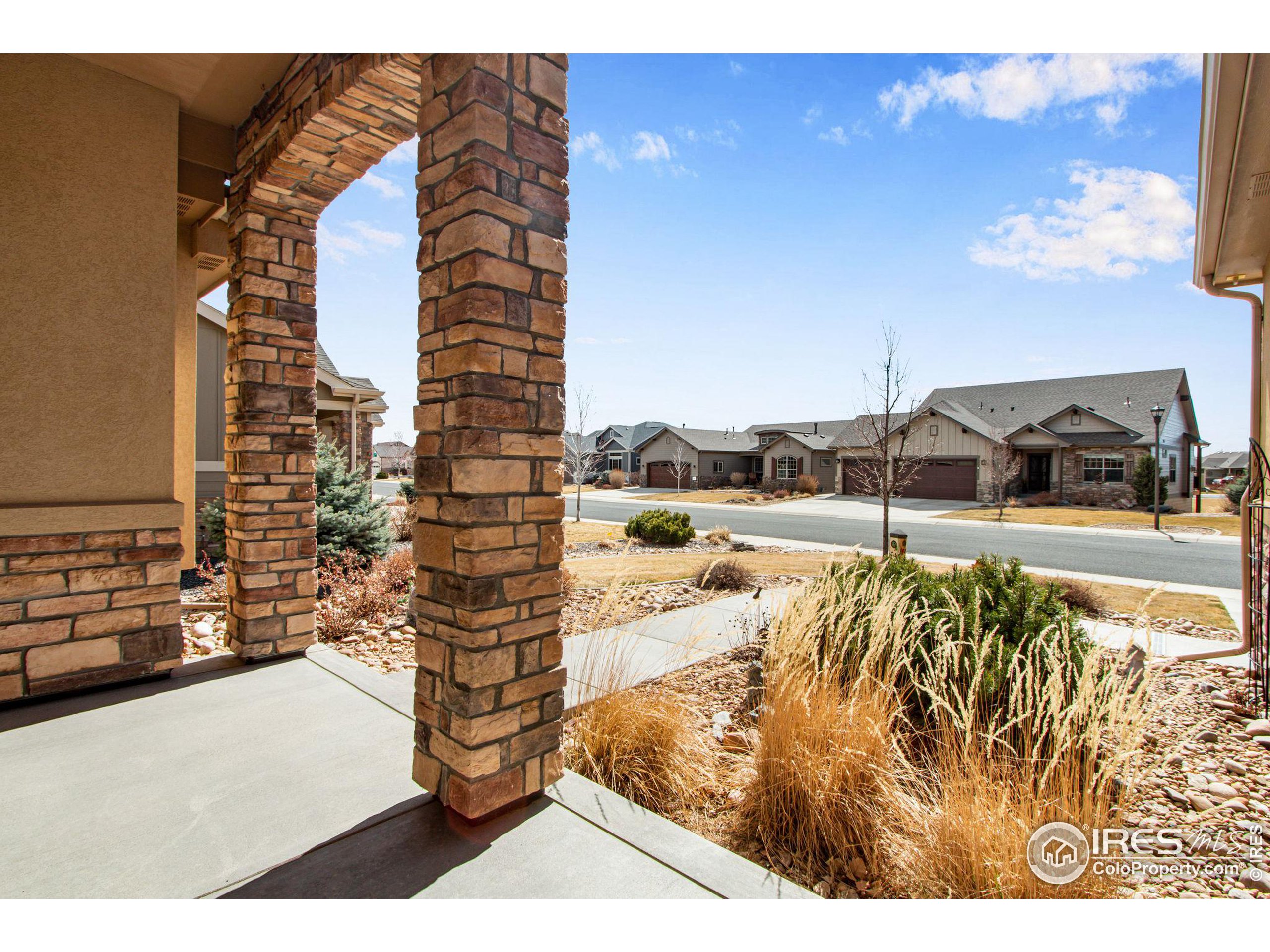 3577 Peruvian Torch Dr