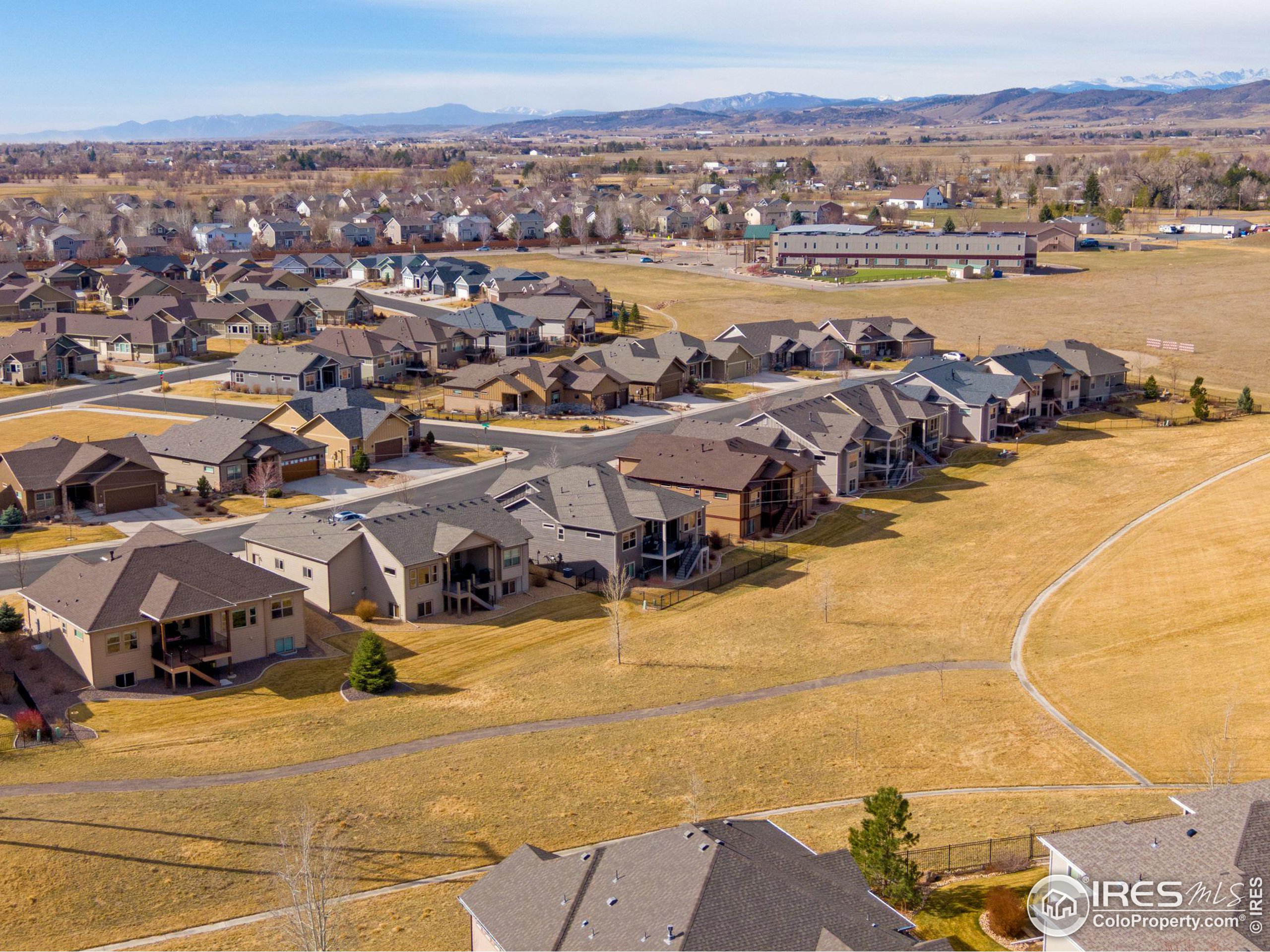 3577 Peruvian Torch Dr