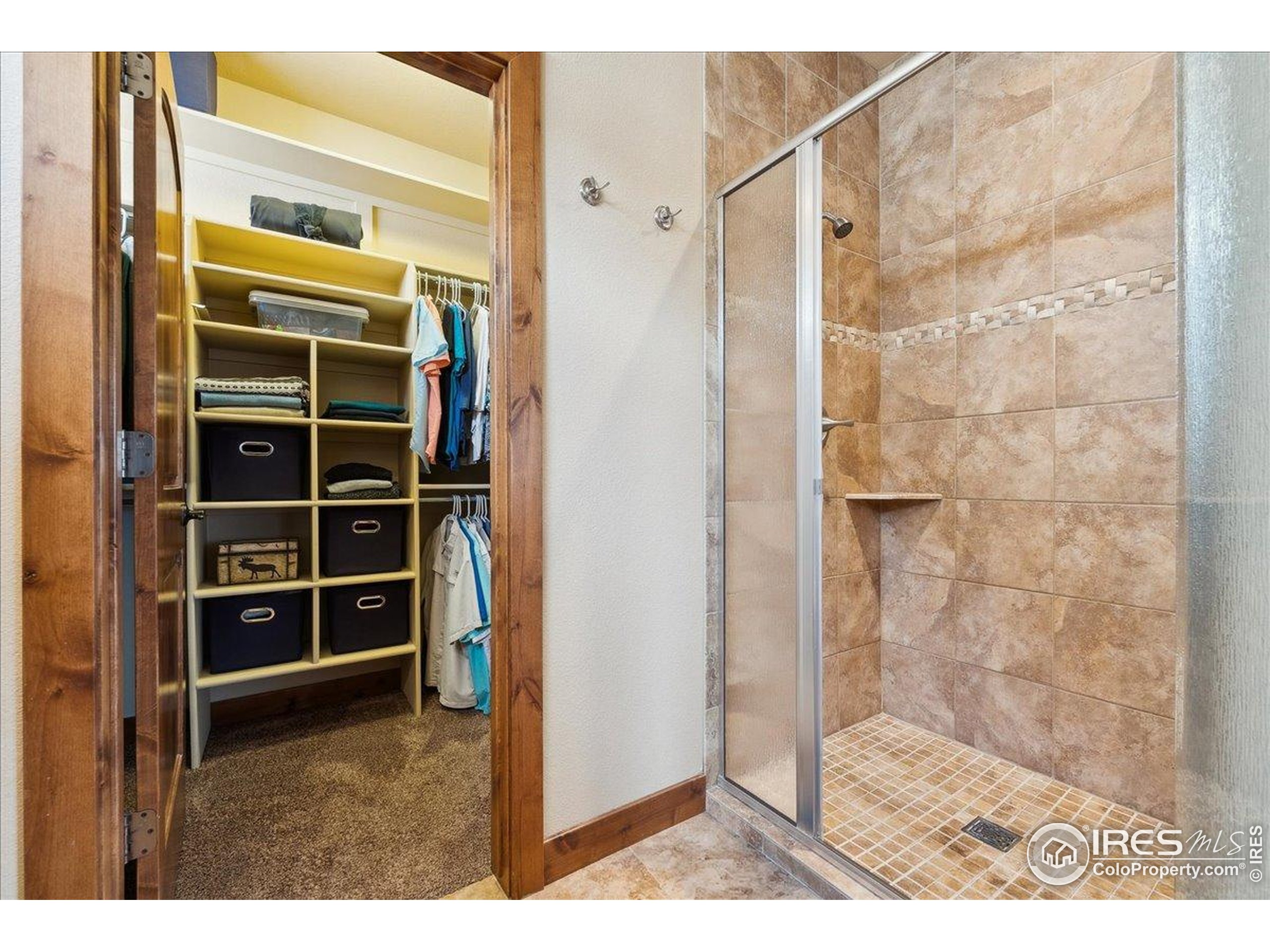 3560 Peruvian Torch Dr