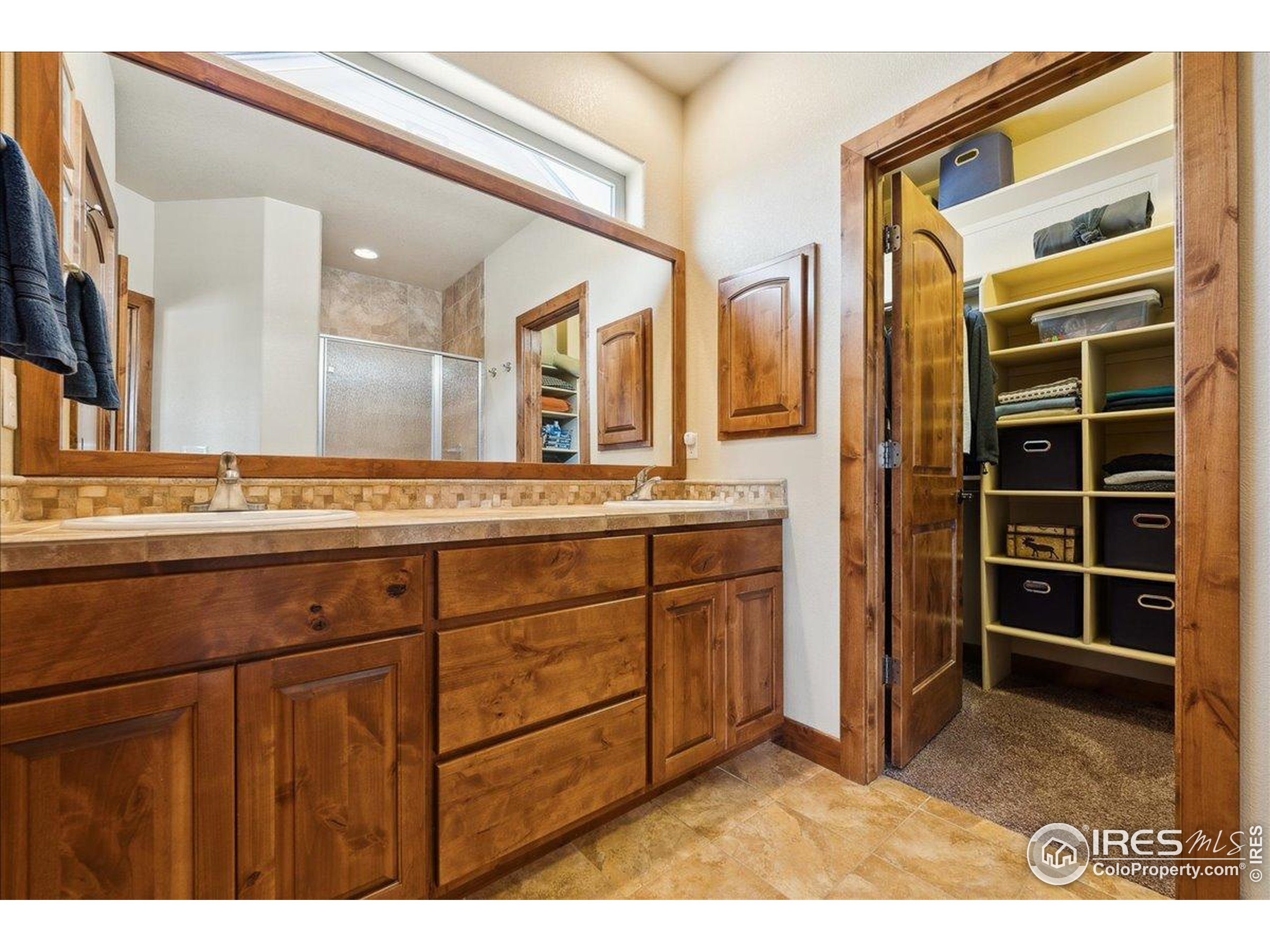 3560 Peruvian Torch Dr