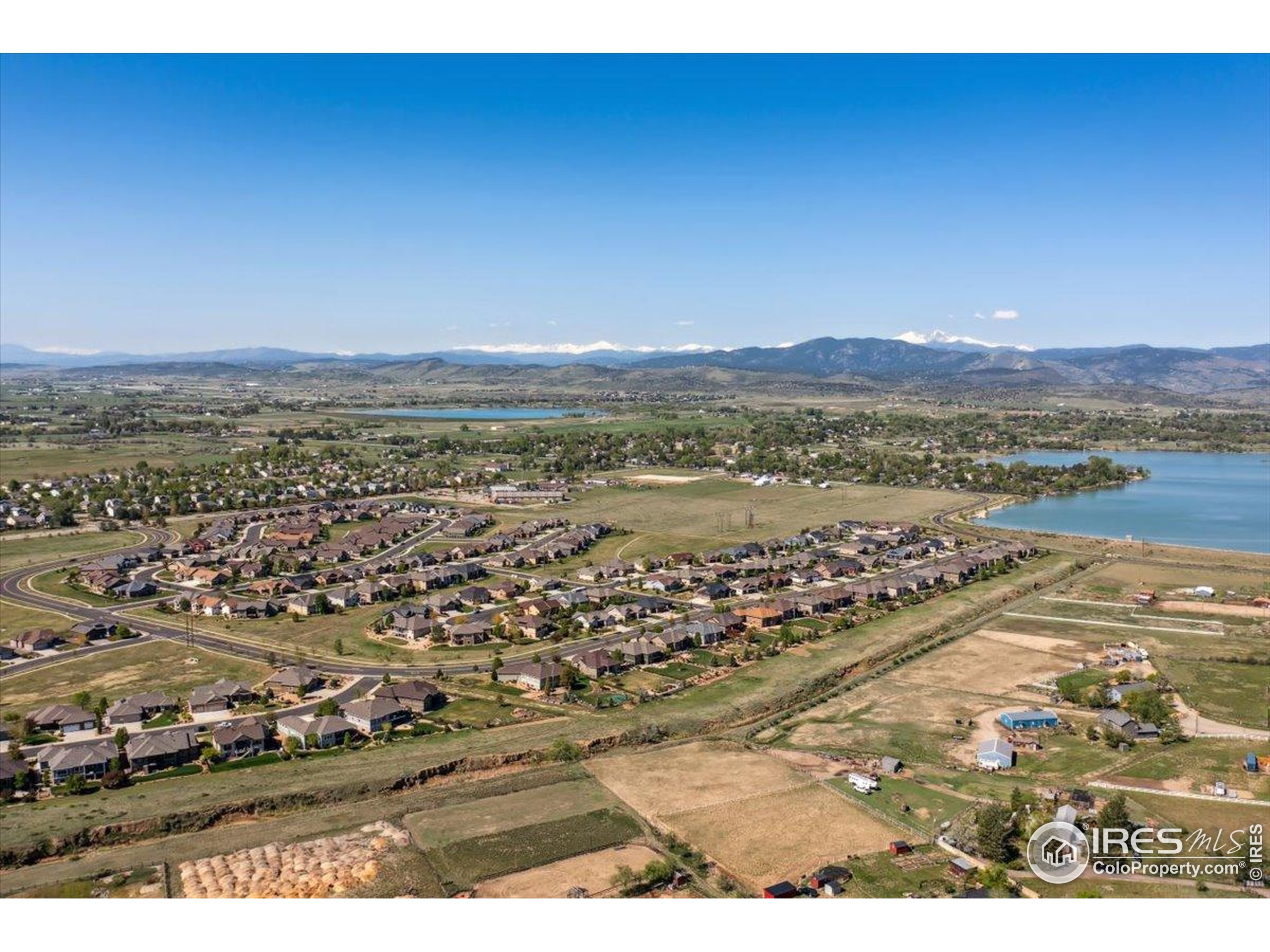 3560 Peruvian Torch Dr