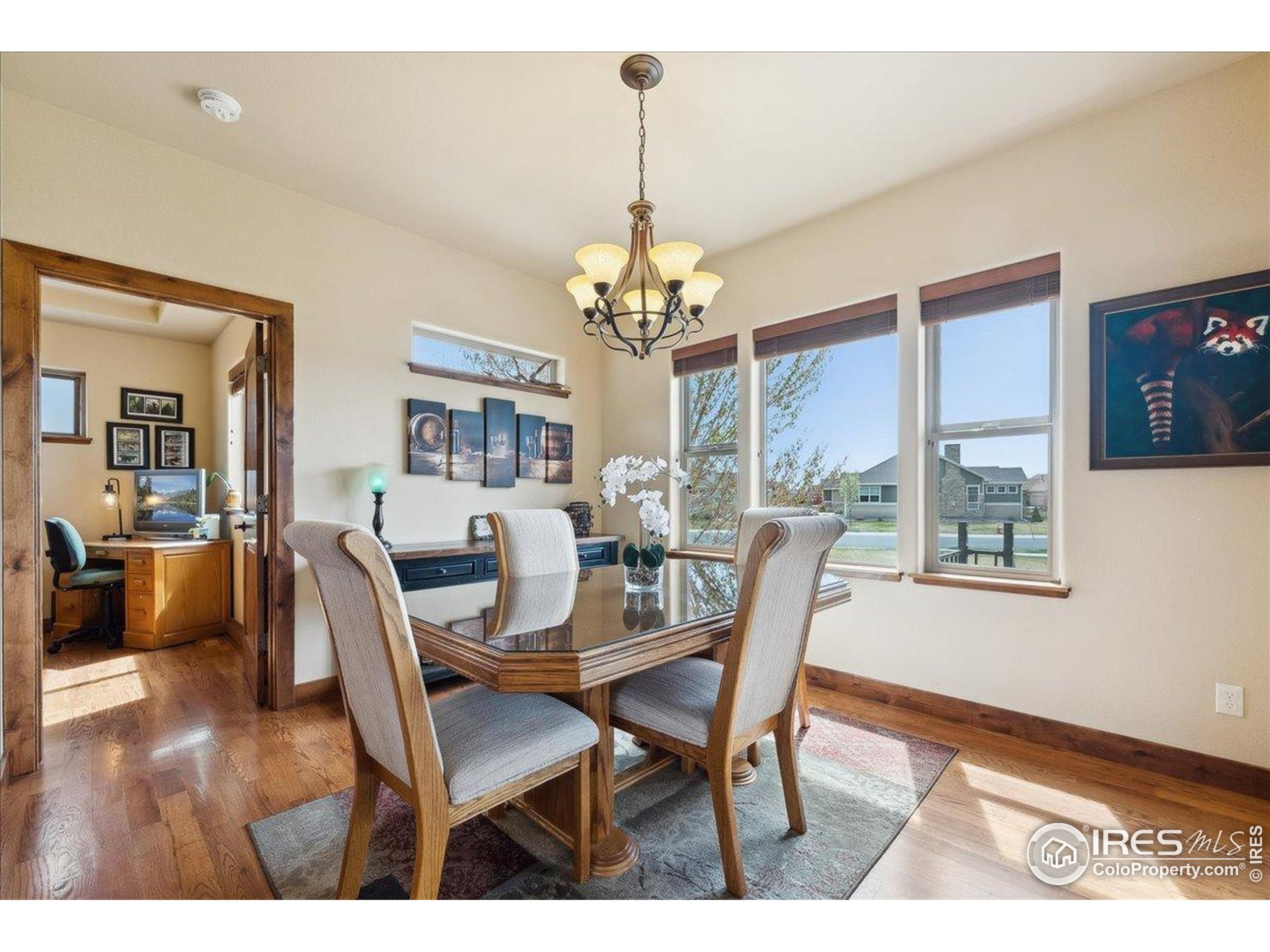 3560 Peruvian Torch Dr