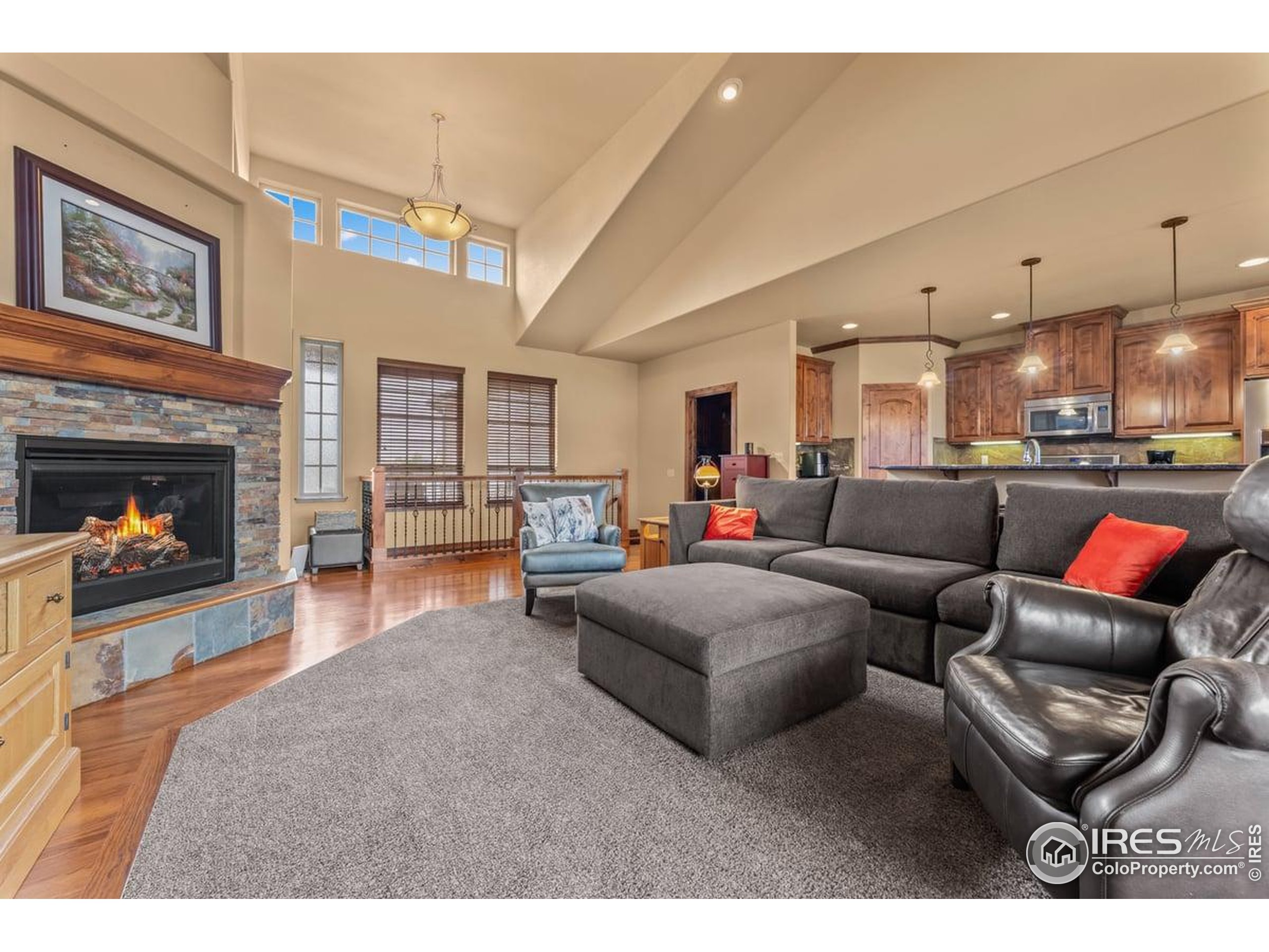 3560 Peruvian Torch Dr