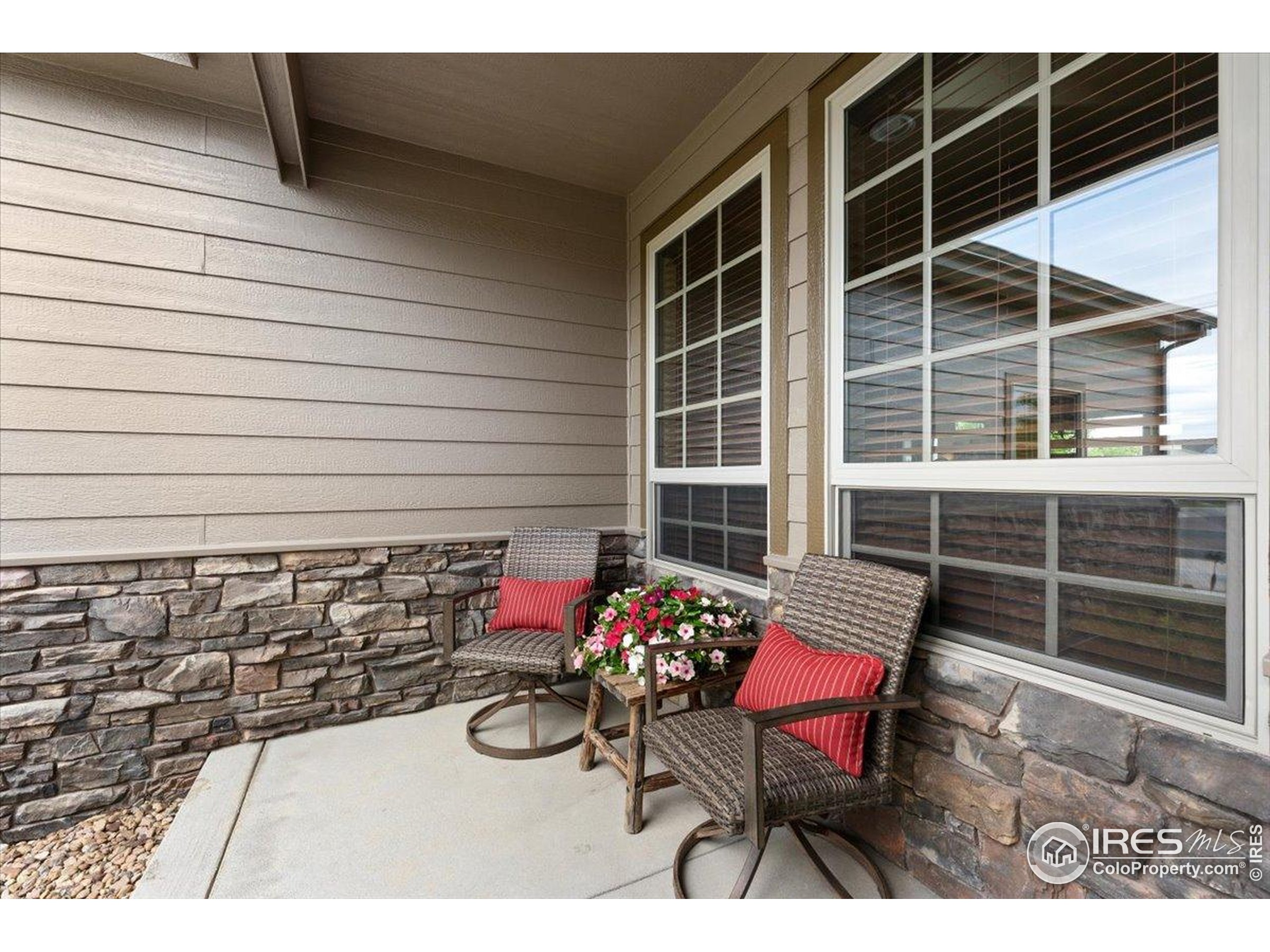 3560 Peruvian Torch Dr