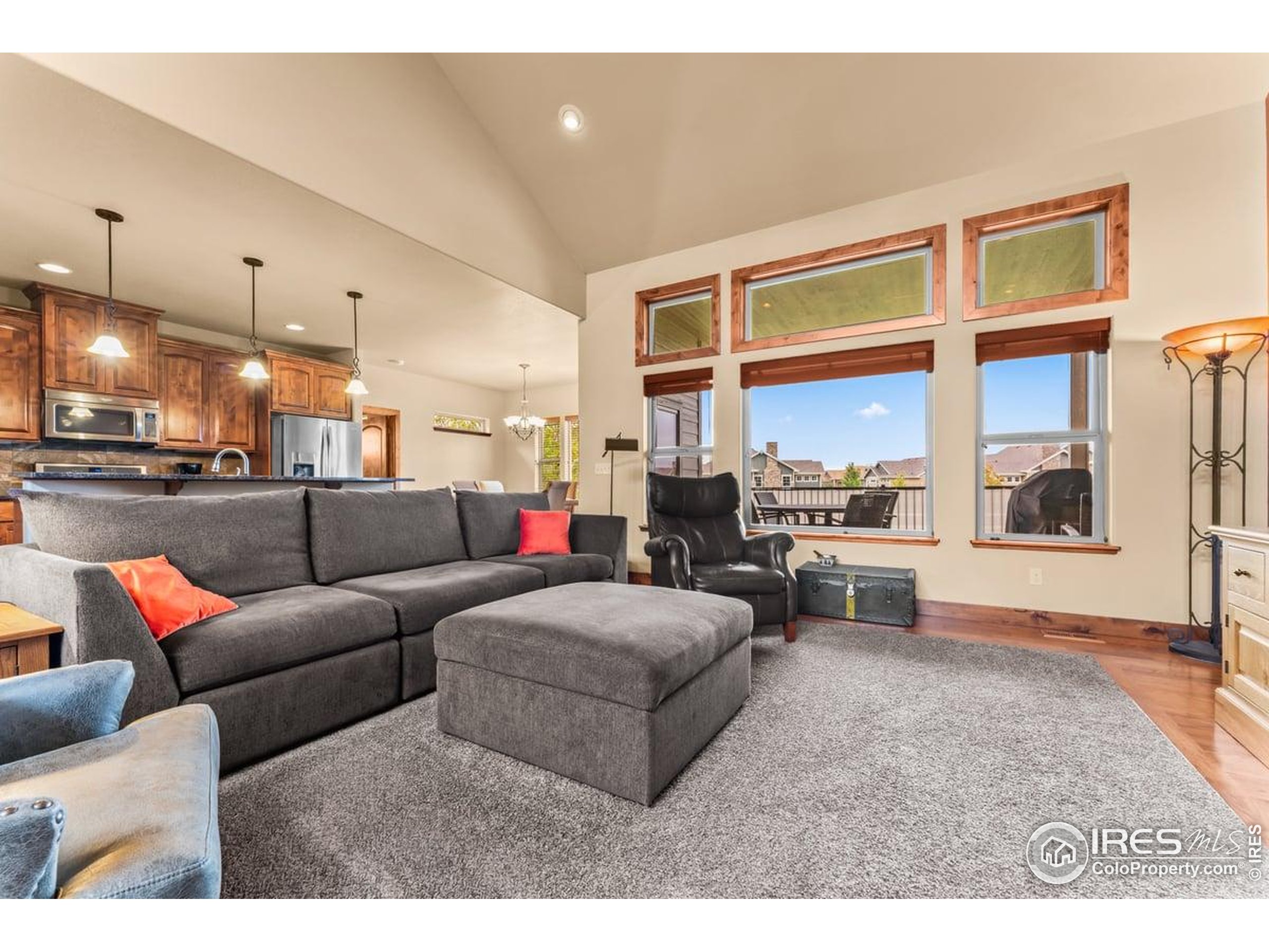 3560 Peruvian Torch Dr