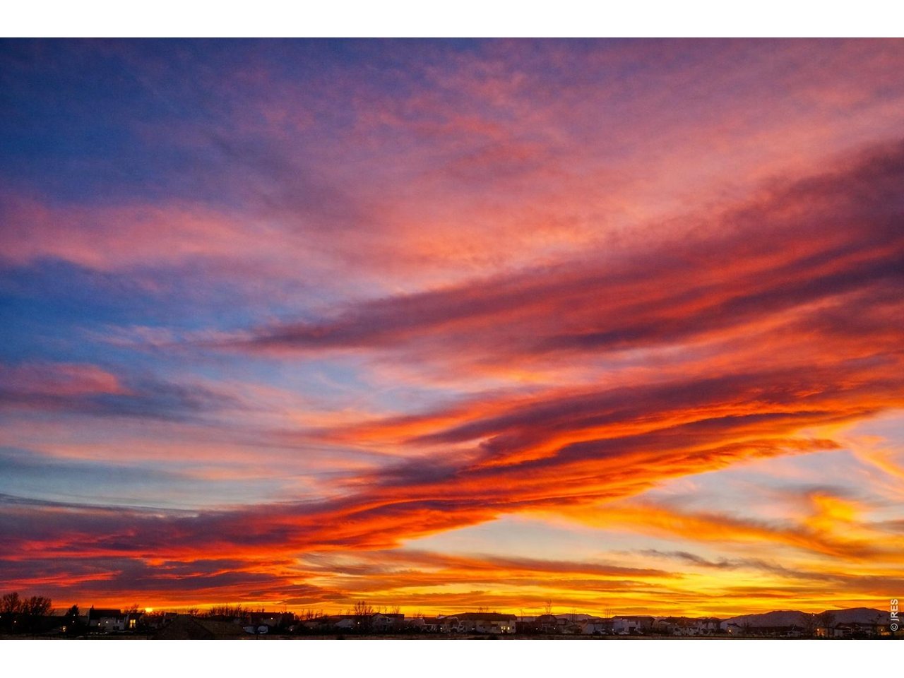 3560 Peruvian Torch Dr