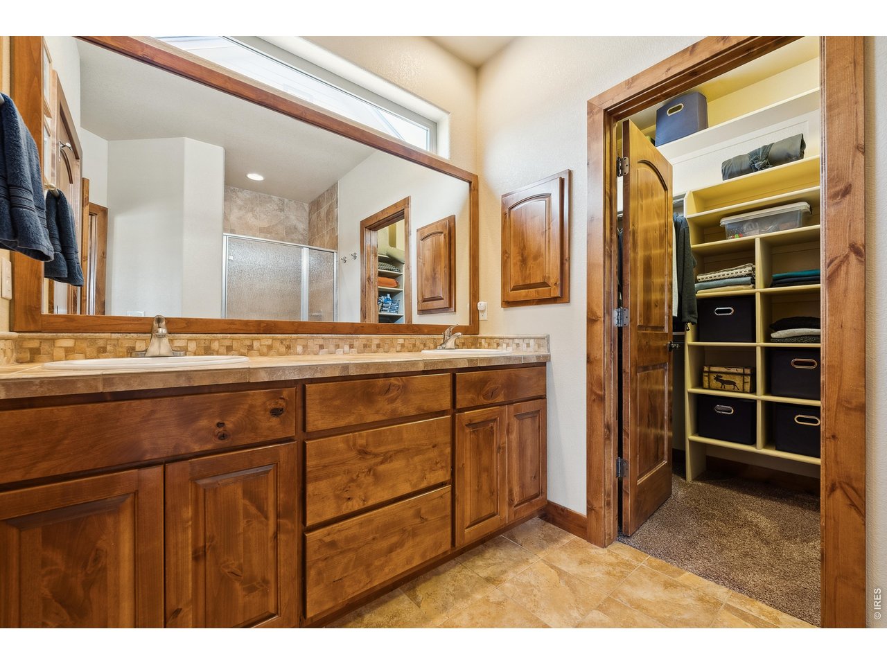 3560 Peruvian Torch Dr