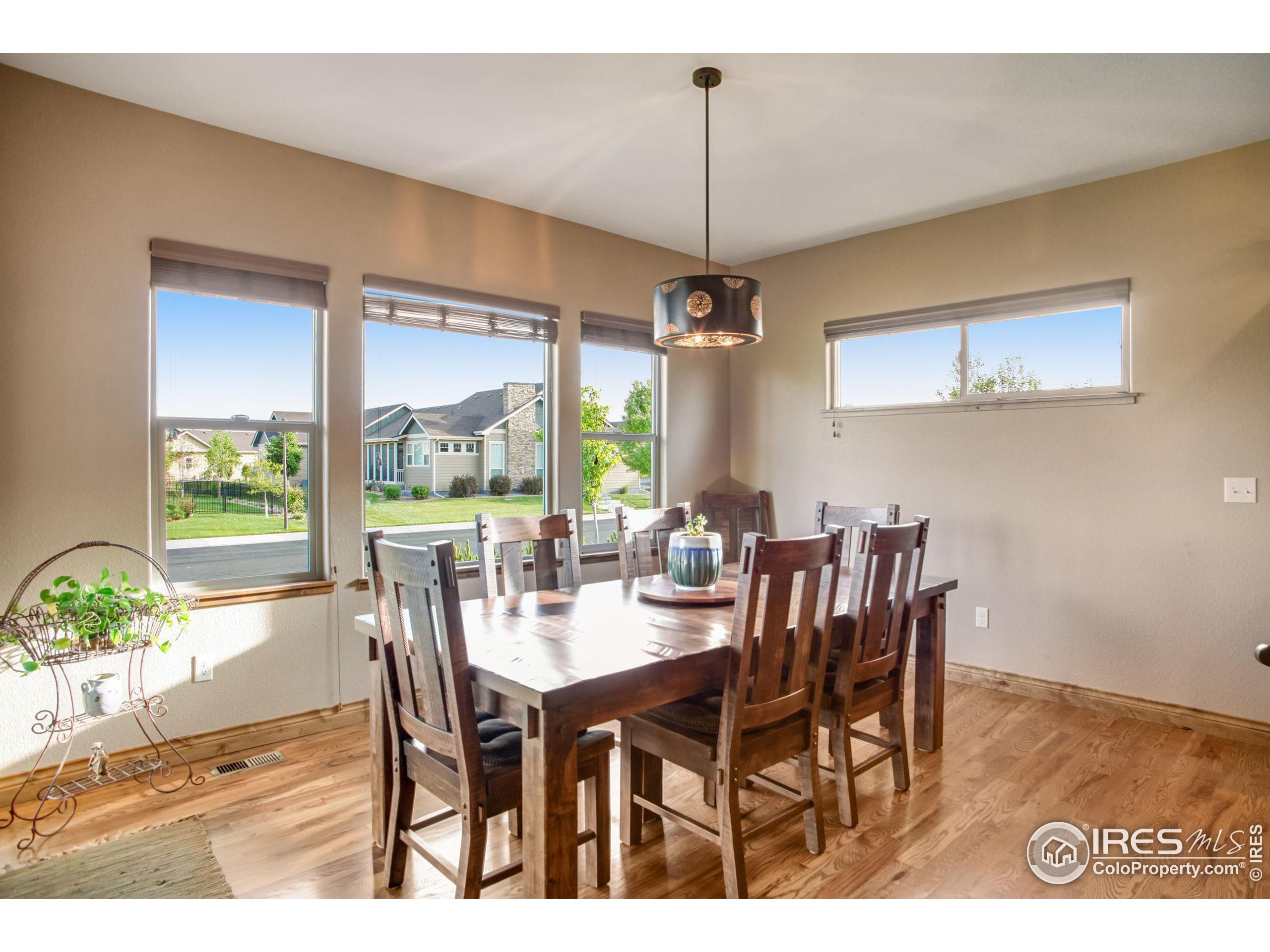 3448 Peruvian Torch Dr