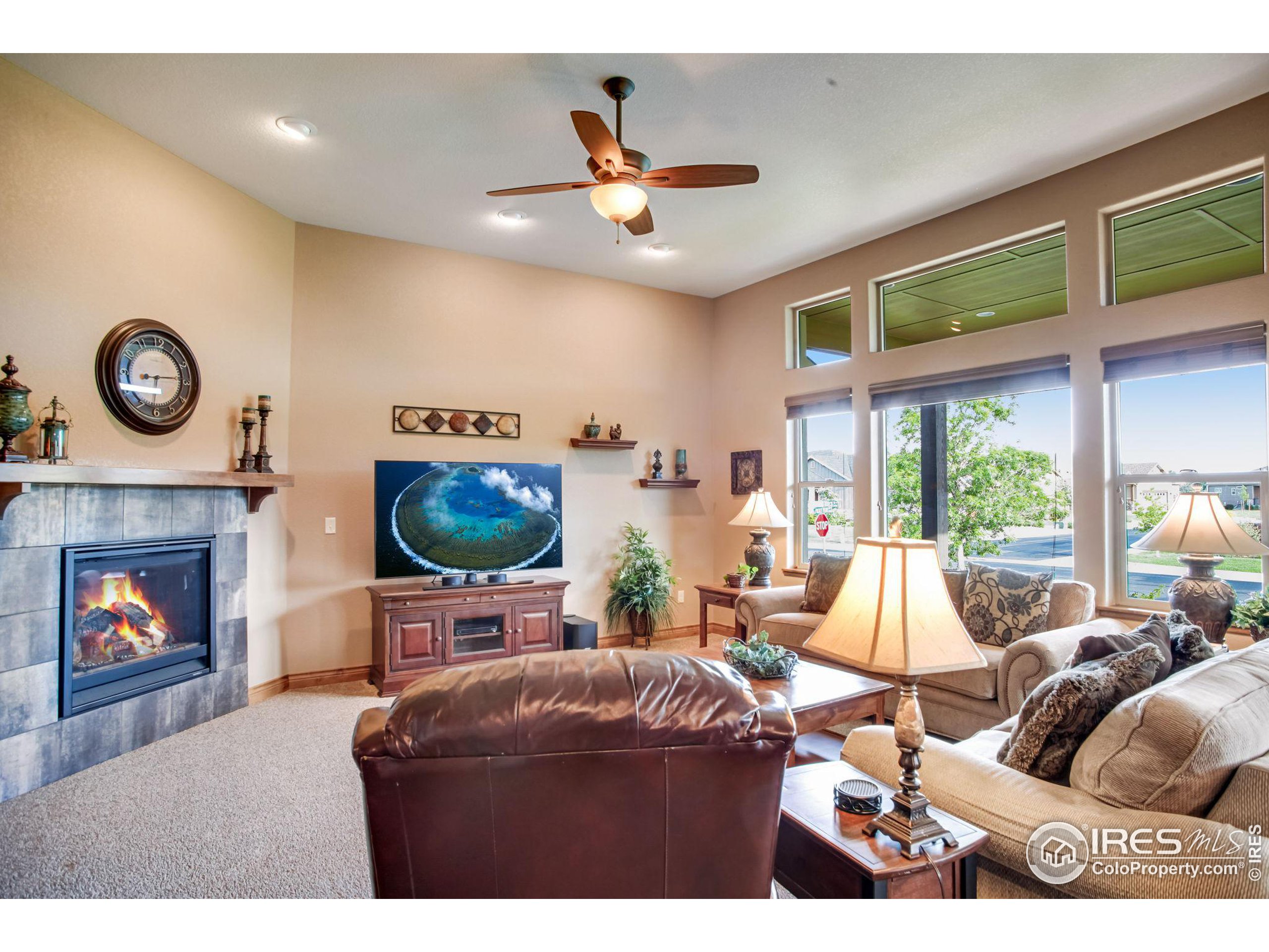 3448 Peruvian Torch Dr