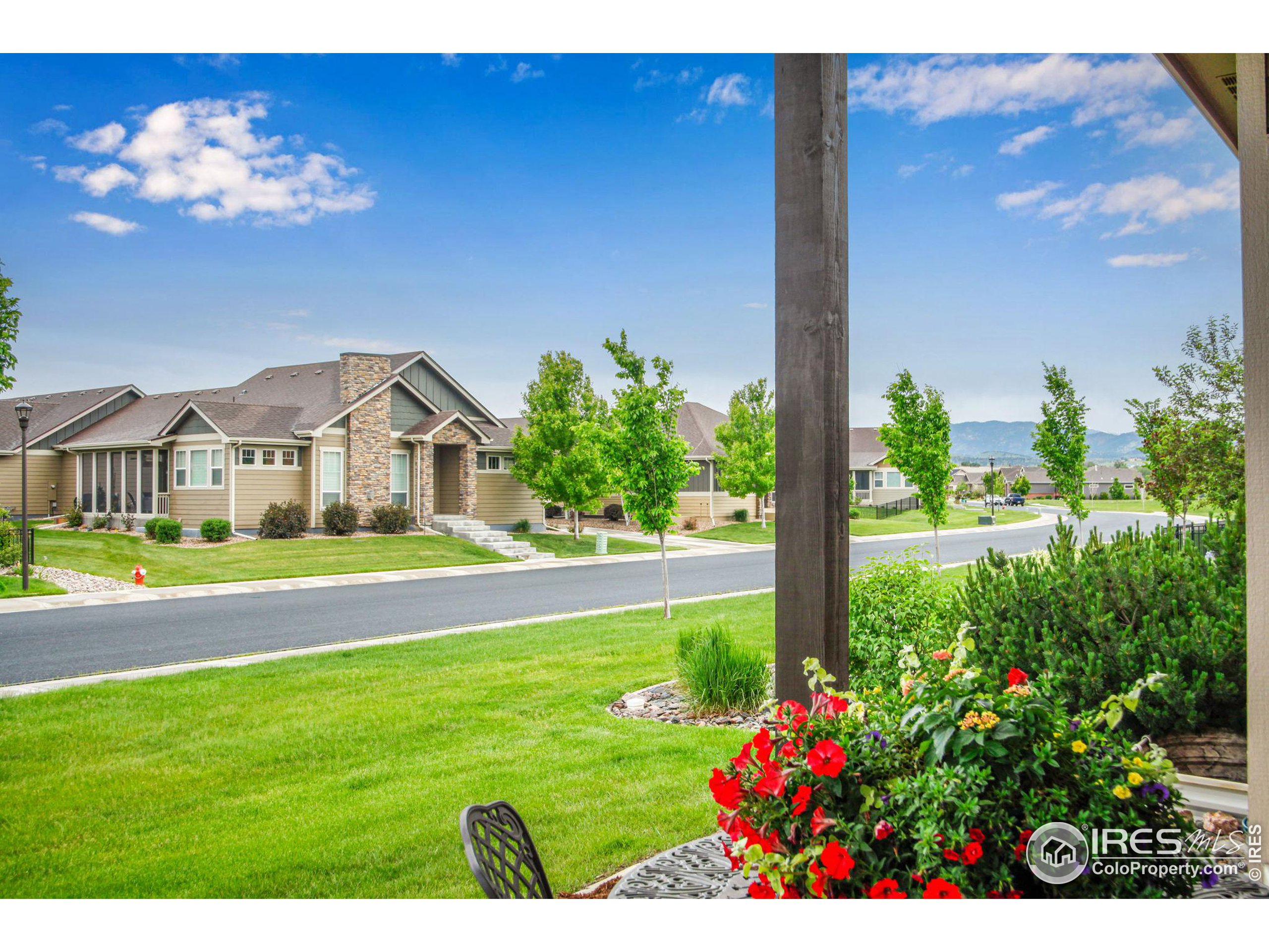 3448 Peruvian Torch Dr