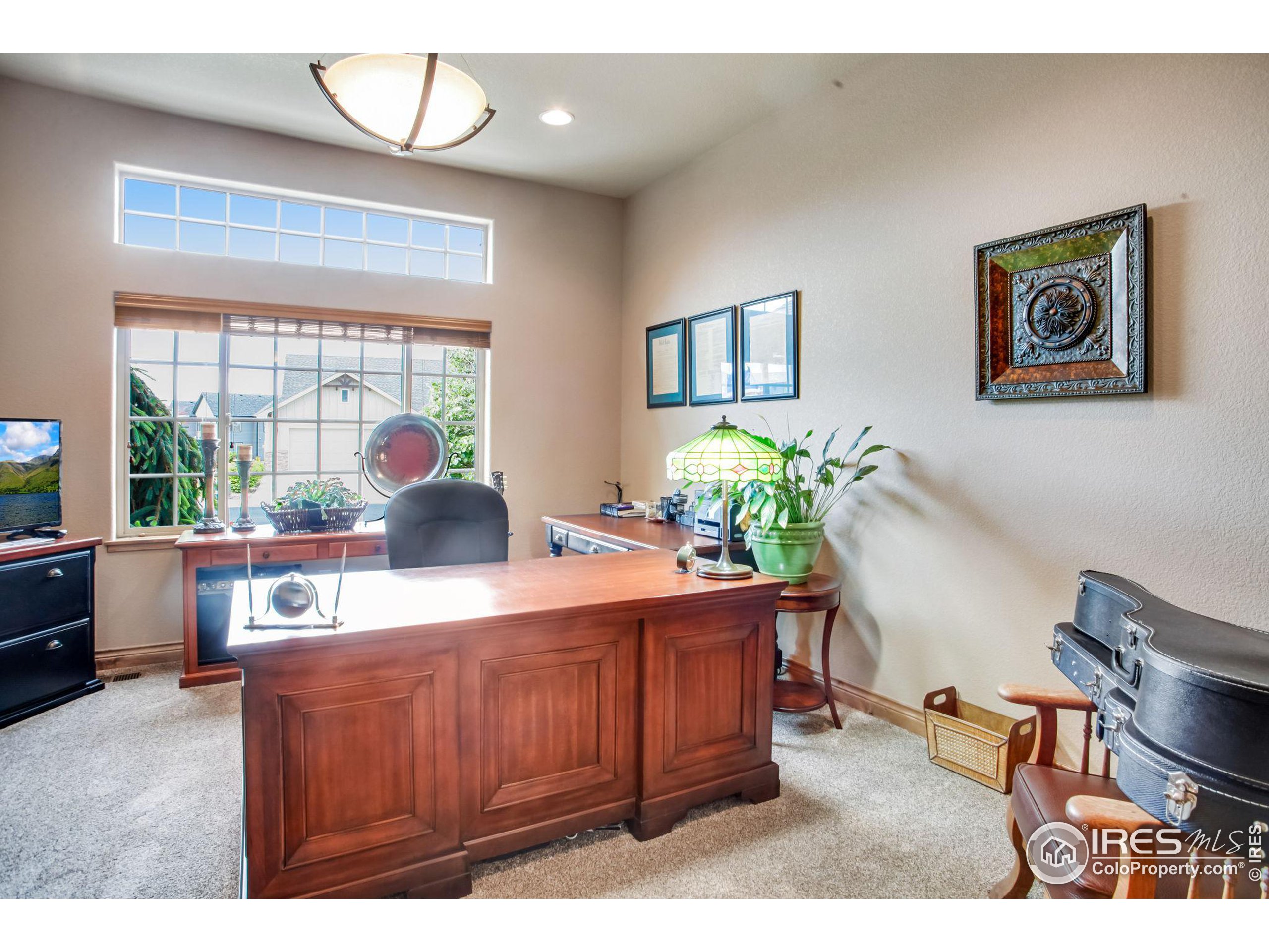 3448 Peruvian Torch Dr