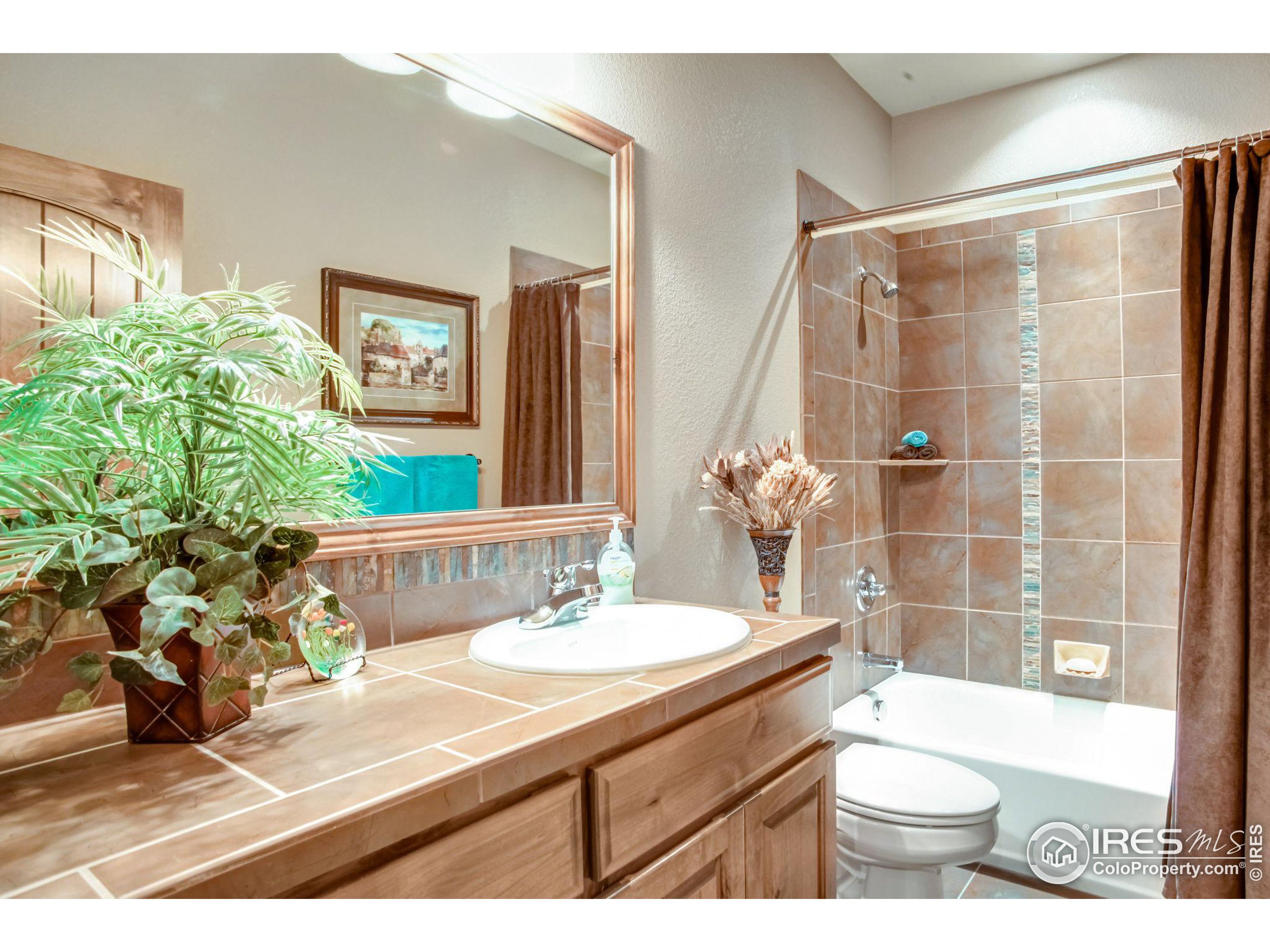 3448 Peruvian Torch Dr