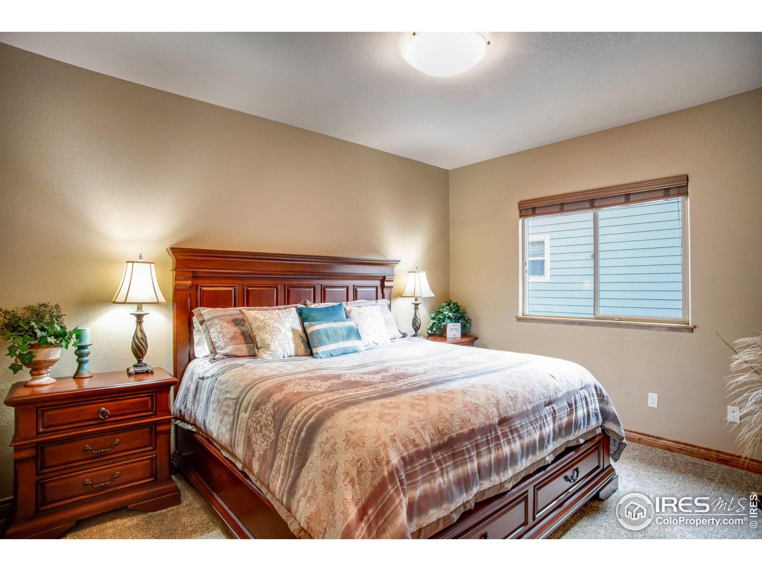 3448 Peruvian Torch Dr