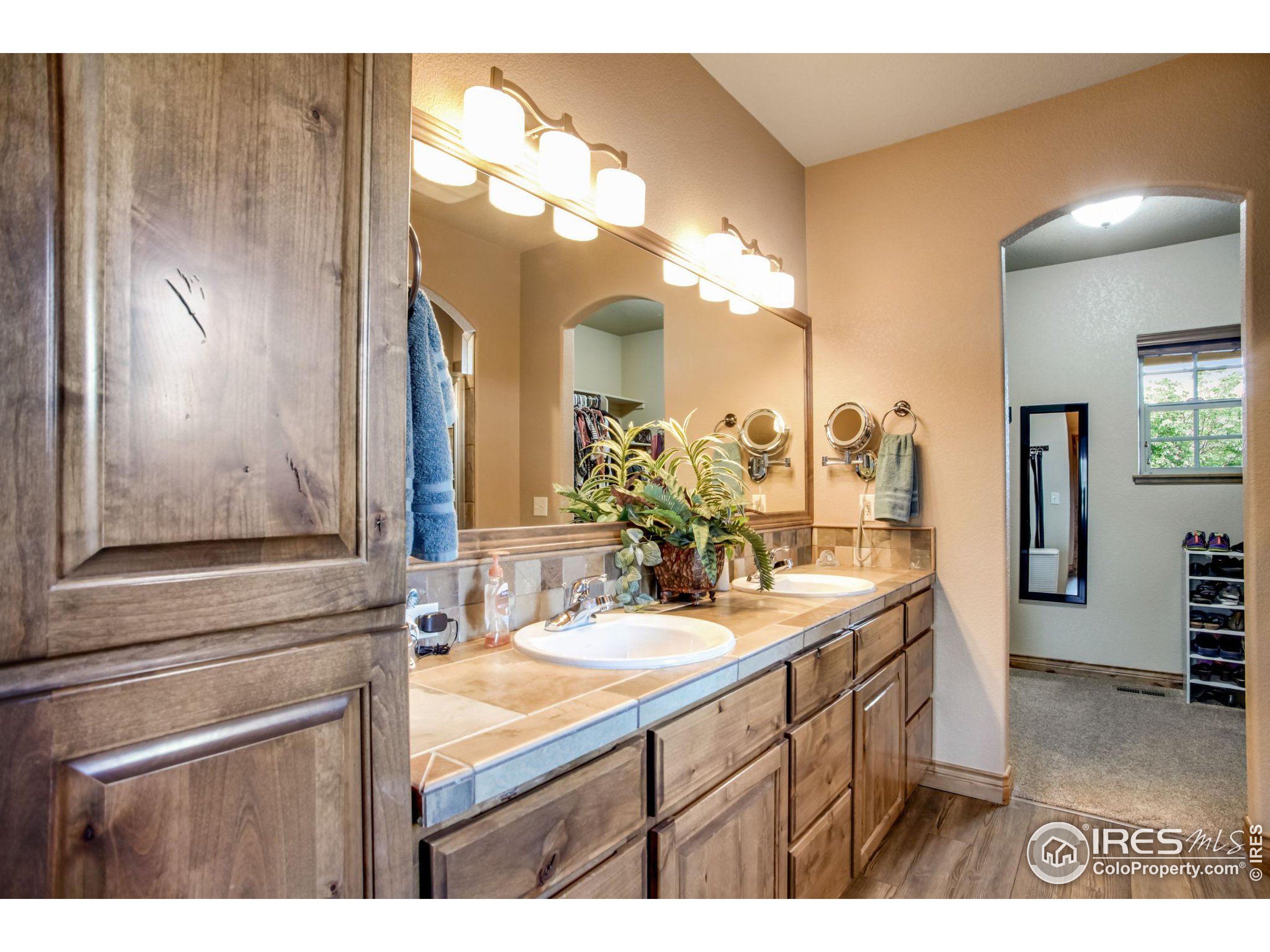 3448 Peruvian Torch Dr