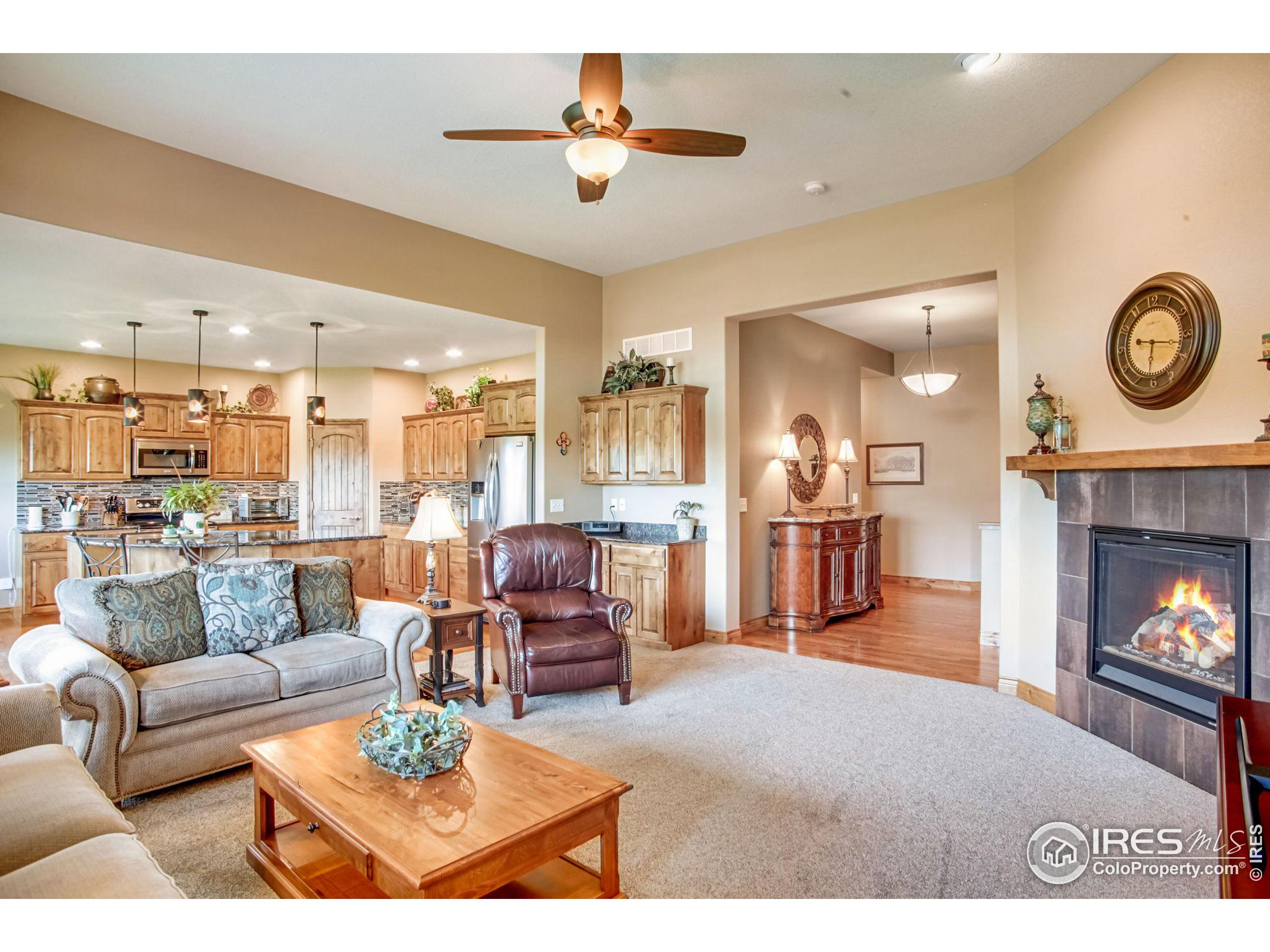 3448 Peruvian Torch Dr