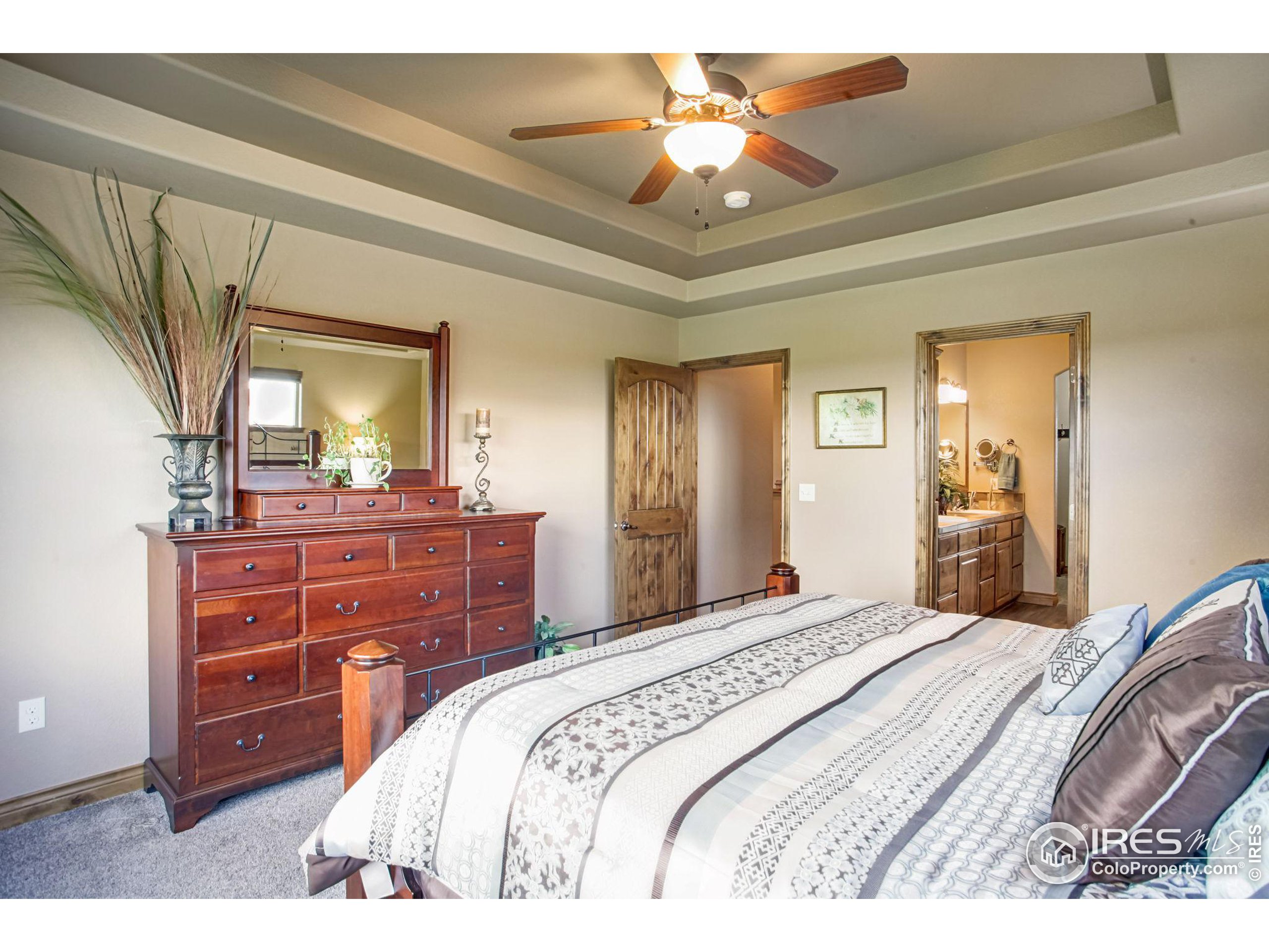 3448 Peruvian Torch Dr