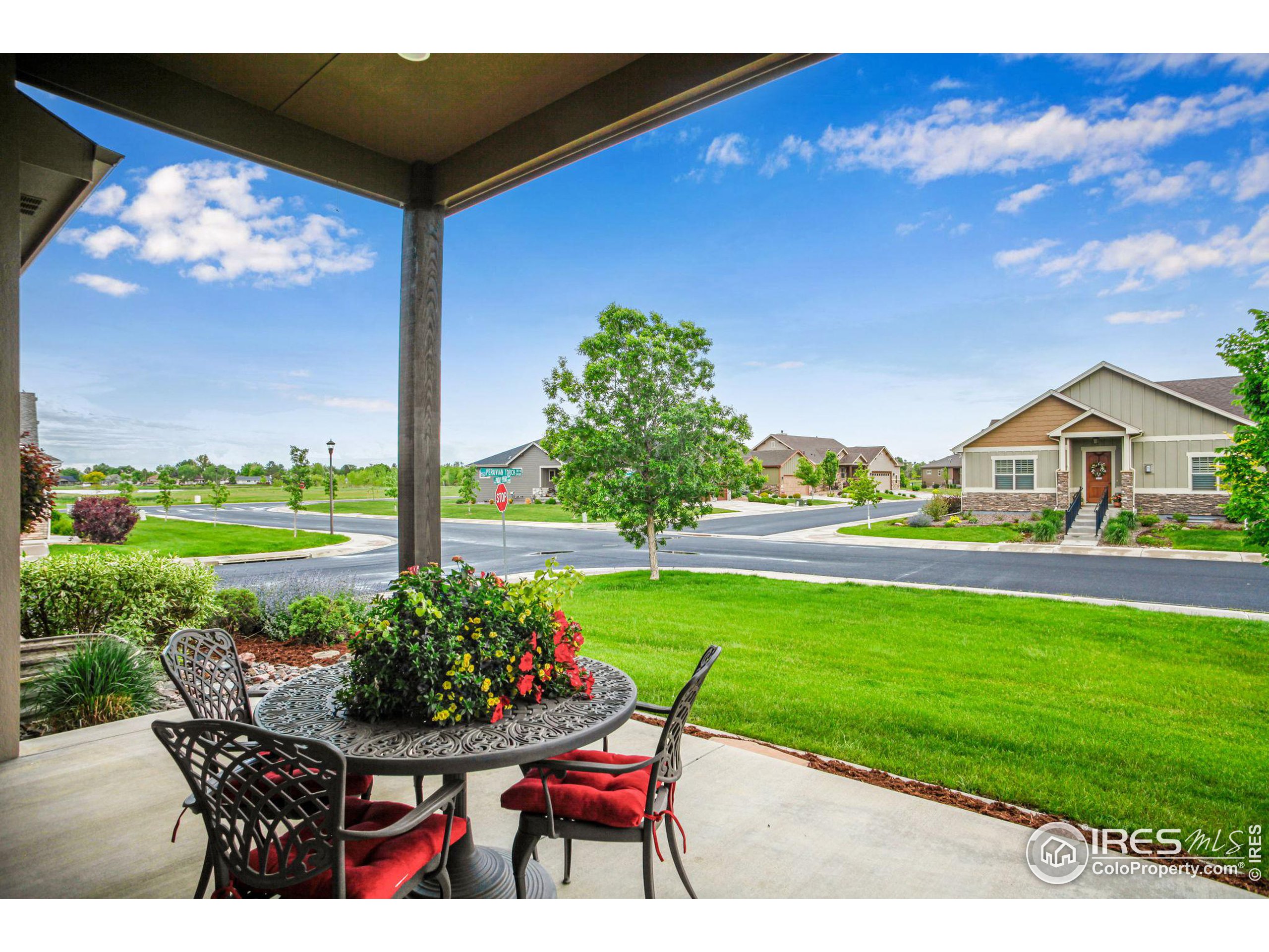 3448 Peruvian Torch Dr